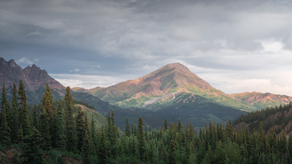 a view of a mountain range with trees in the foreground