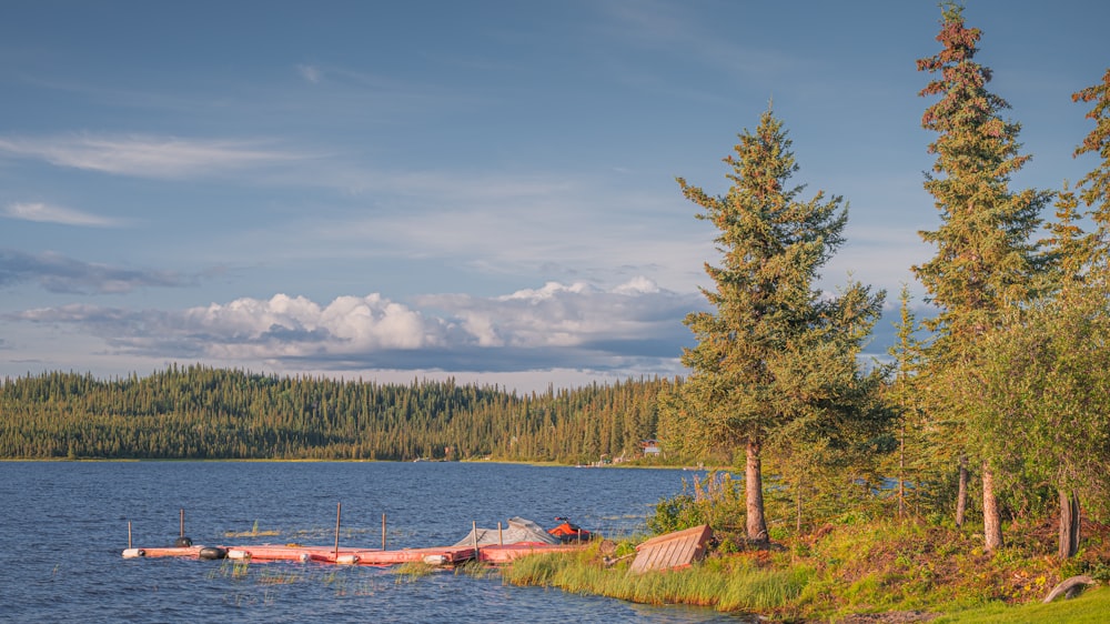 a body of water surrounded by trees and a forest