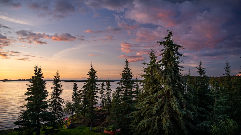 a sunset over a lake with trees in the foreground