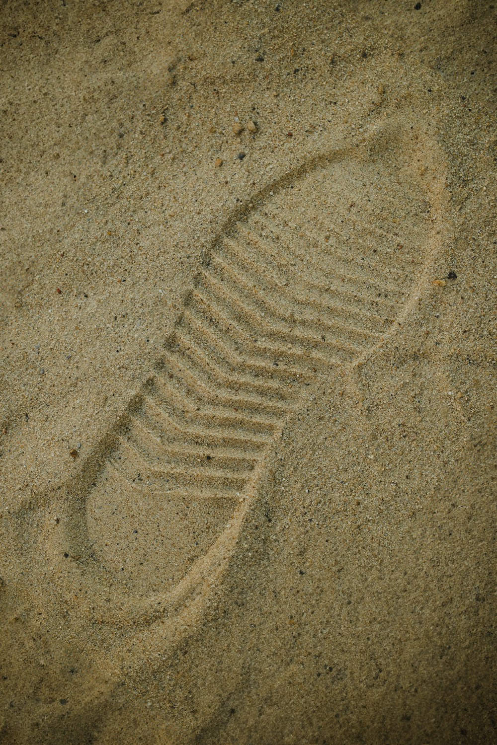 a picture of a shoe imprint in the sand