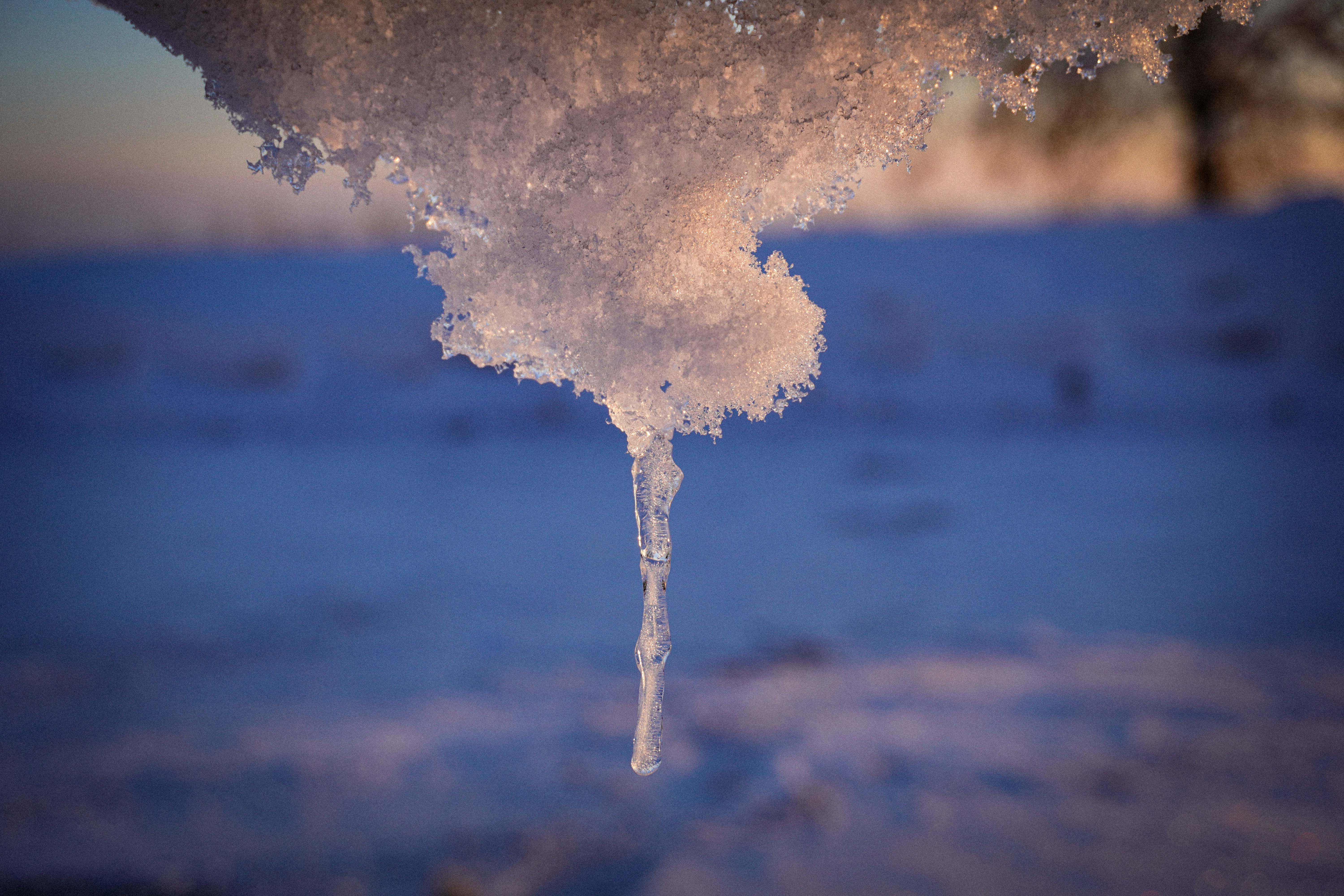 a frozen tree branch with icicles hanging from it