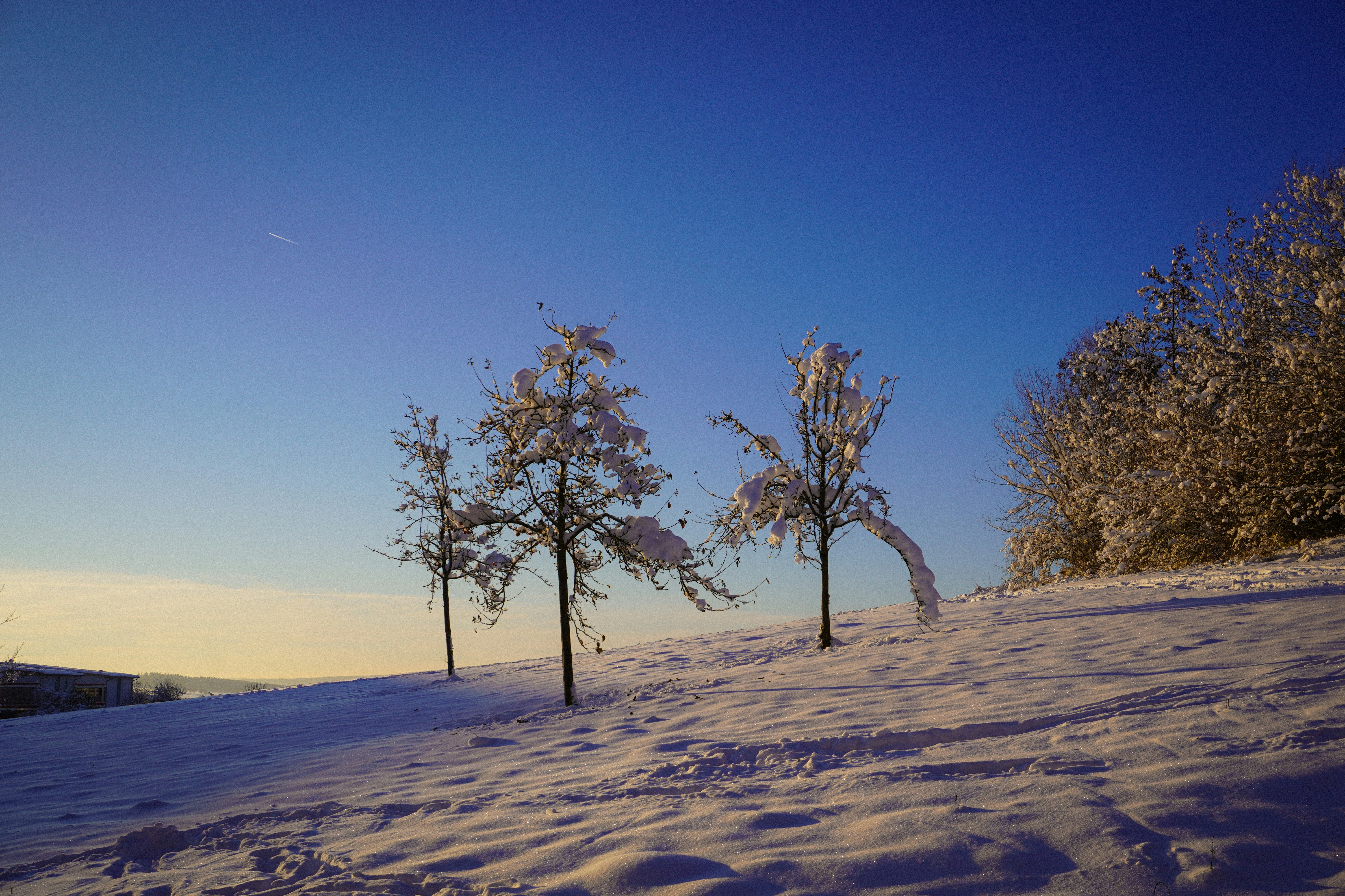 Photo by n1co04