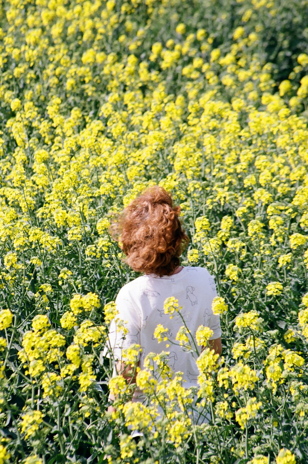 a woman standing in a field of yellow flowers