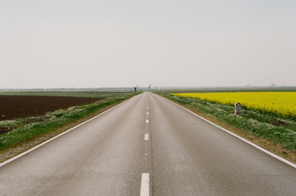 a long empty road with a yellow field in the background