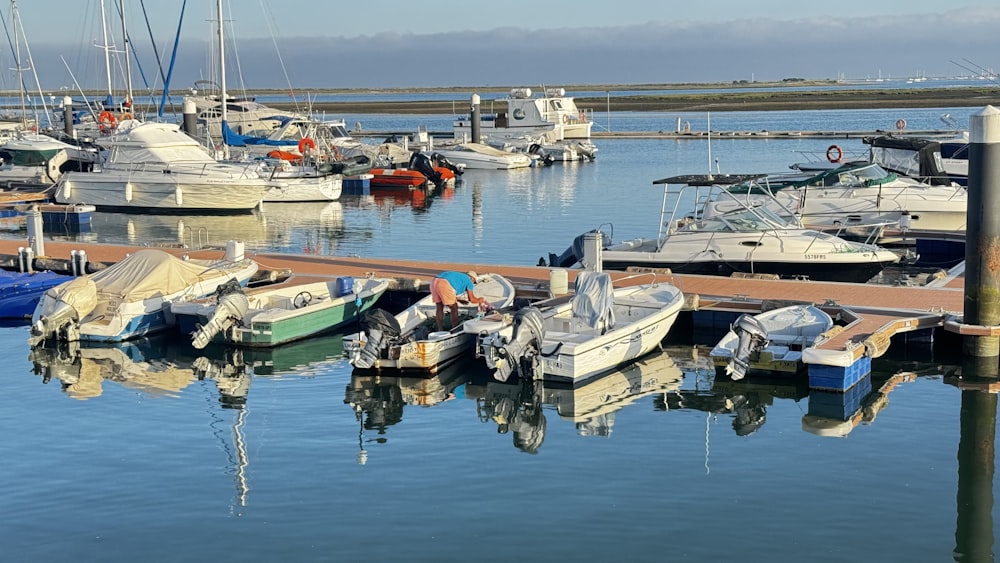 a bunch of boats that are in the water