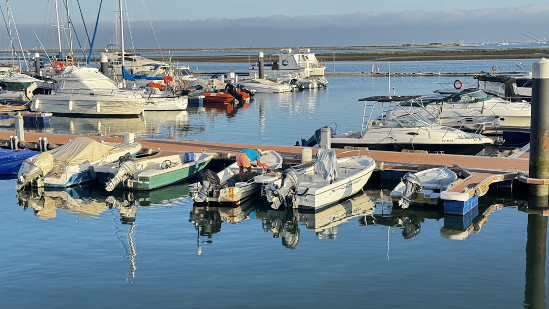 a bunch of boats that are in the water,