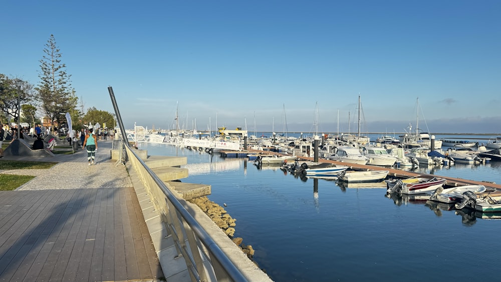 a marina filled with lots of boats on a sunny day