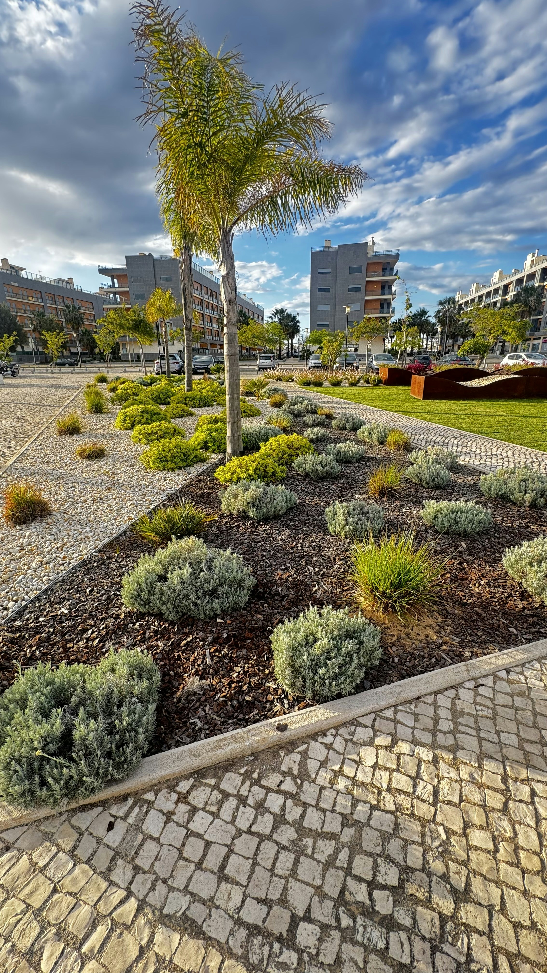 a palm tree in the middle of a park