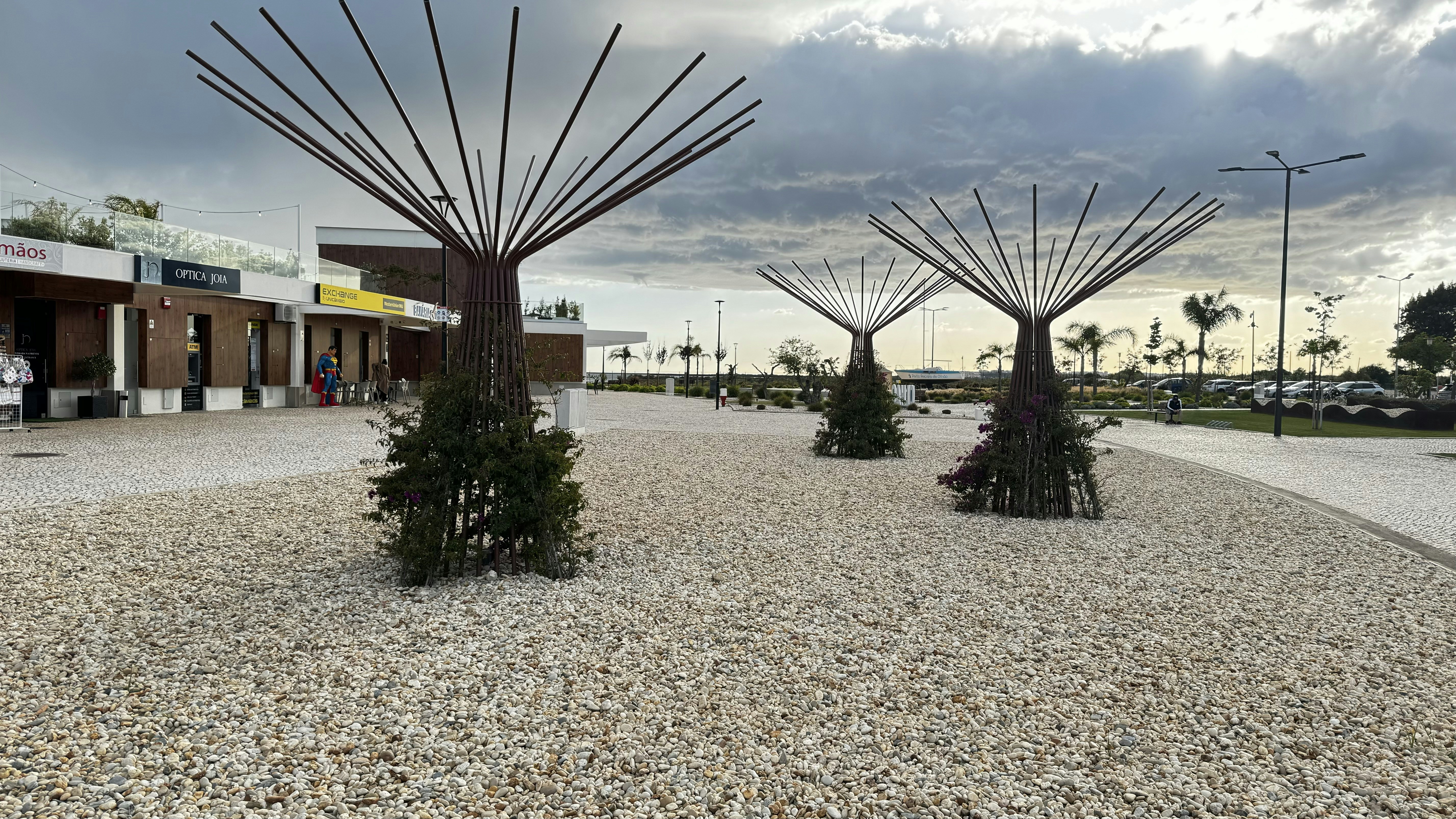 a couple of trees sitting in the middle of a parking lot
