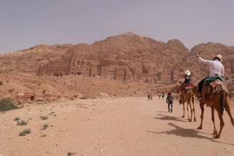 a group of people riding on the backs of camels