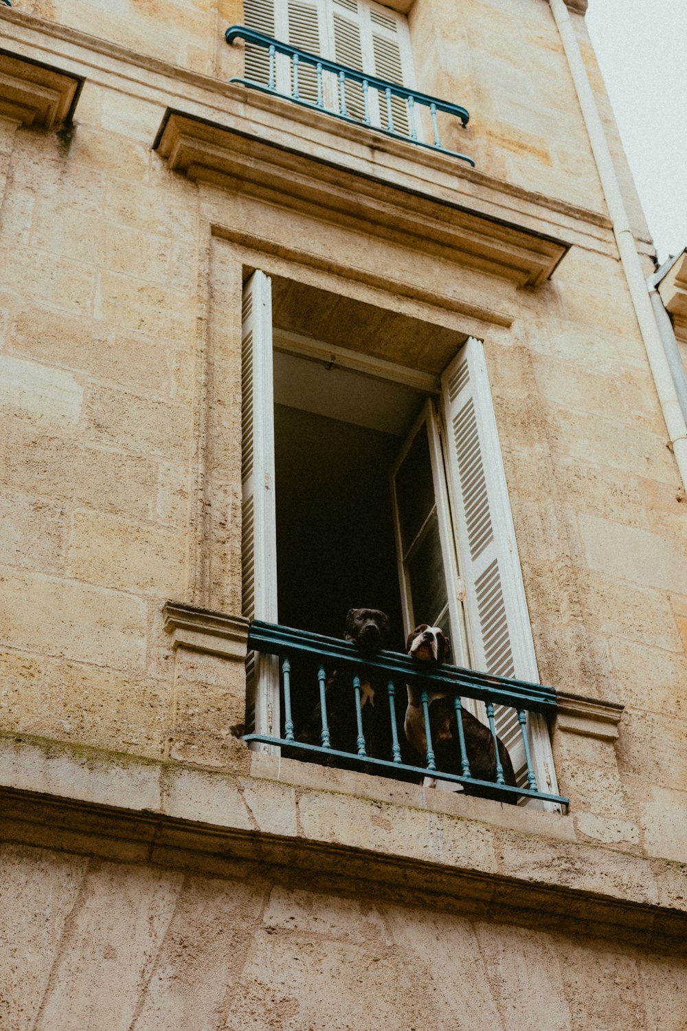 a person standing on a balcony looking out of a window