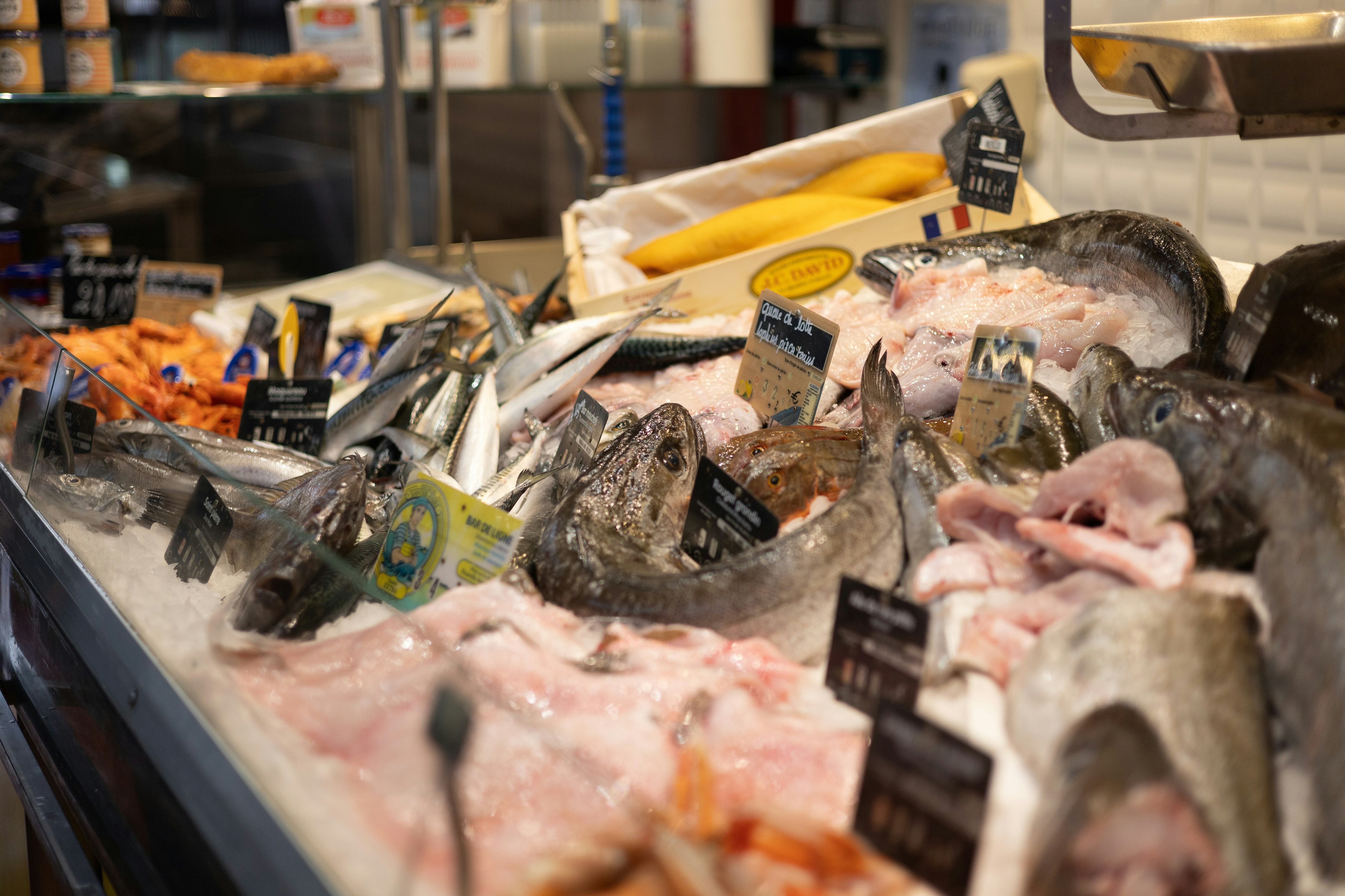 a bunch of fish that are on a table, 