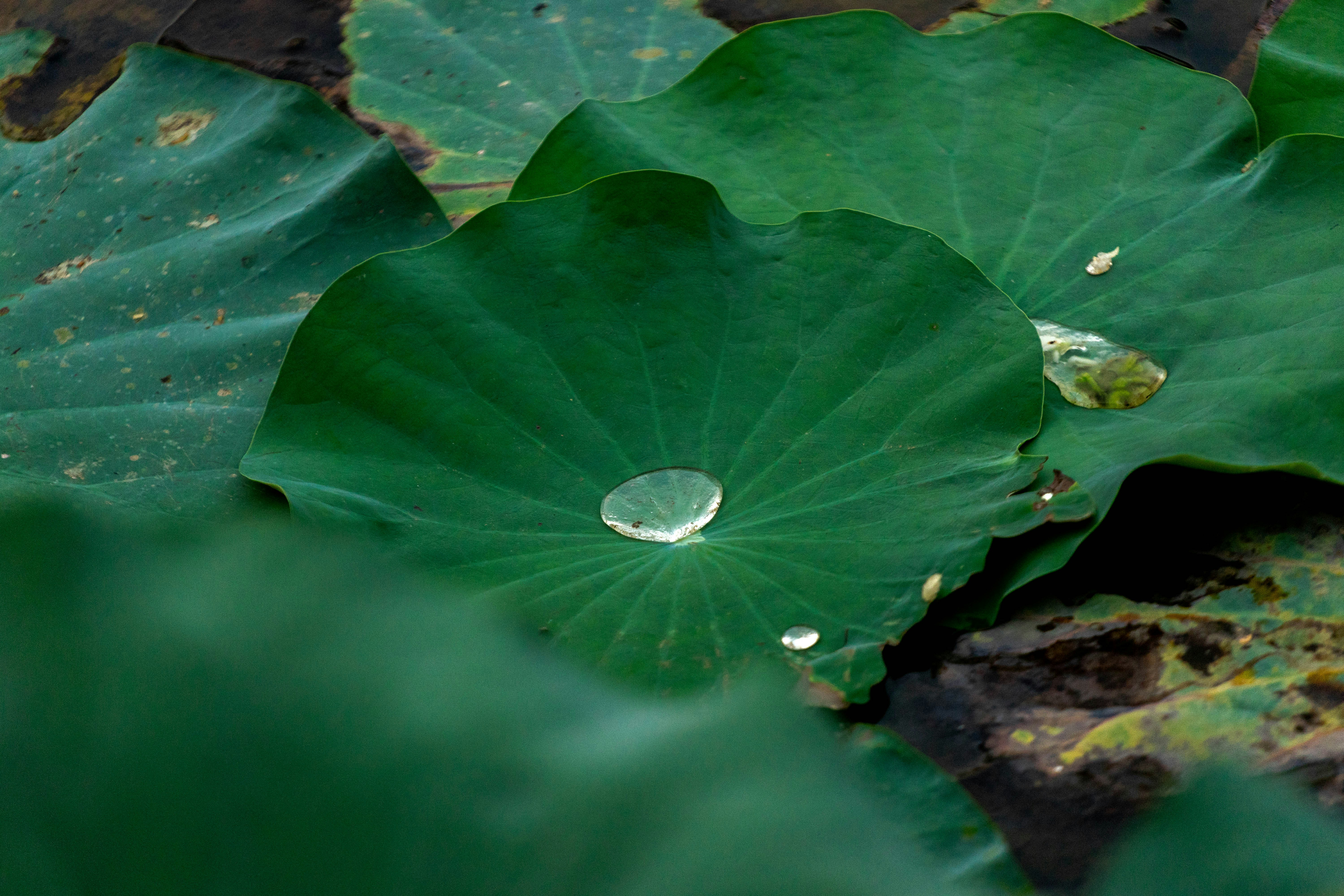 Photo by mrthetkhine