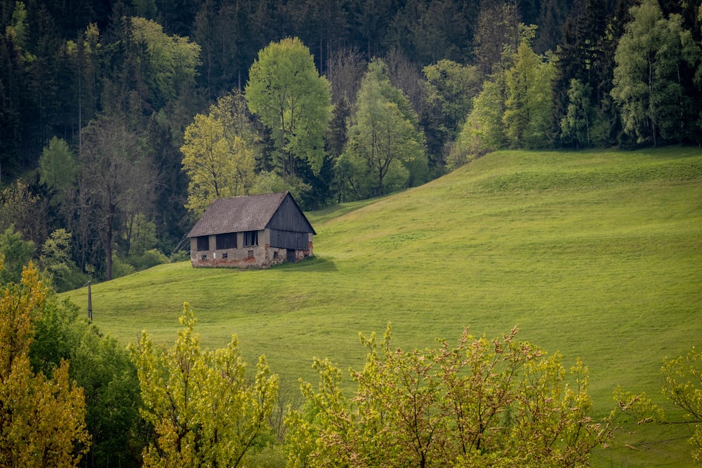 a house on a hill with trees in the background