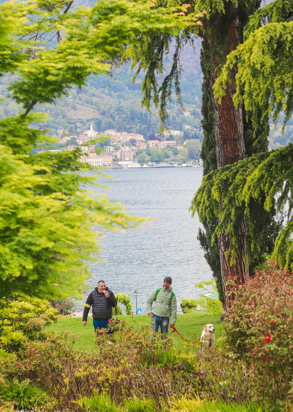 a couple of people walking a dog on a leash