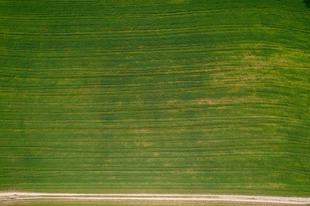 中央に白い線が入った緑の野原の航空写真