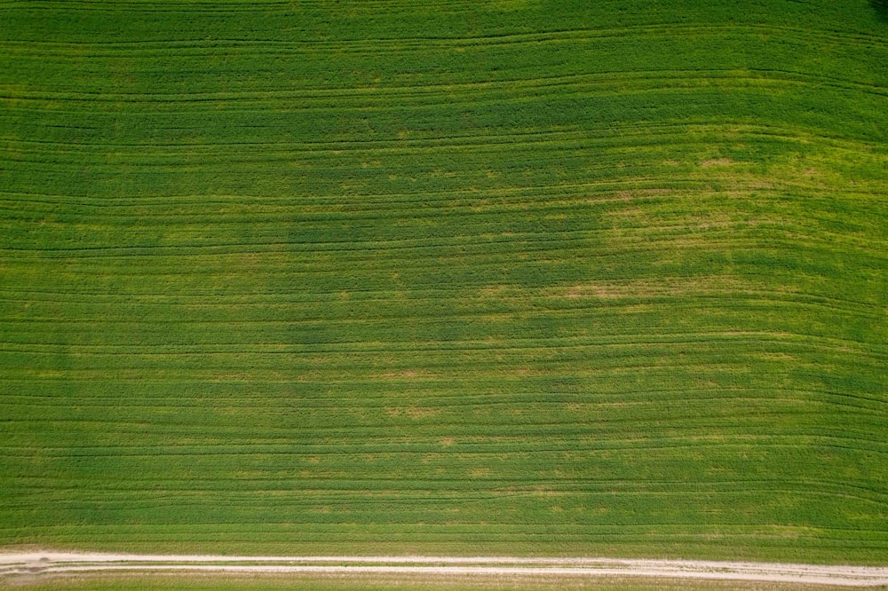 an aerial view of a green field with a white line in the middle