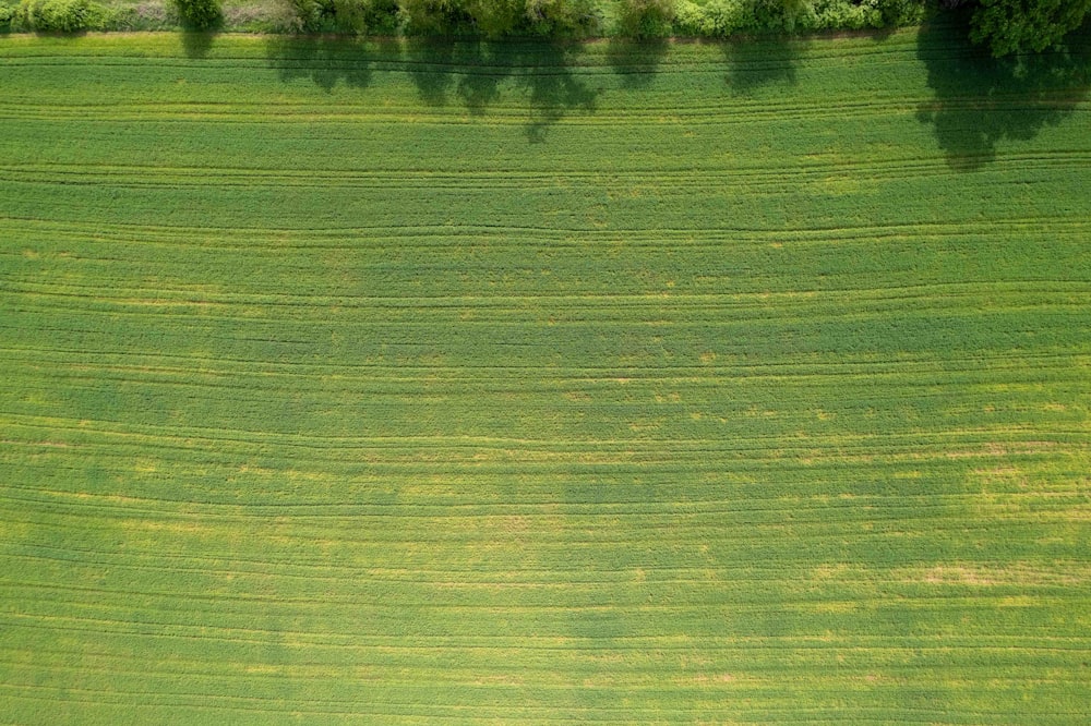 an aerial view of a green field with trees