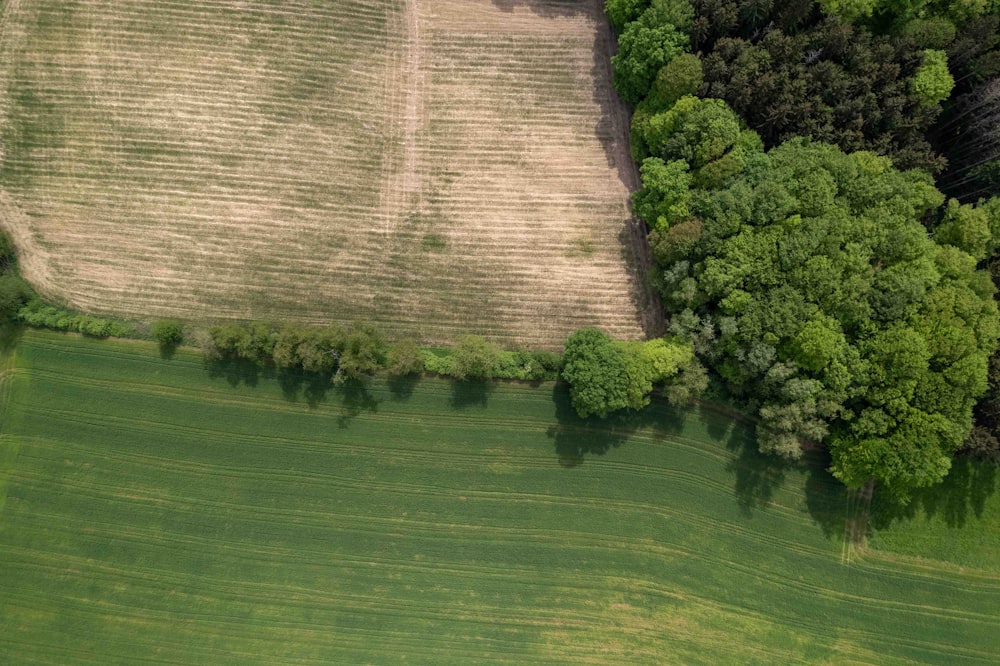 an aerial view of a field with trees