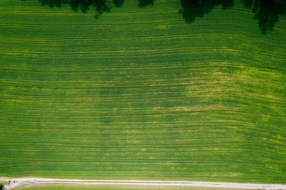 an aerial view of a green field with trees