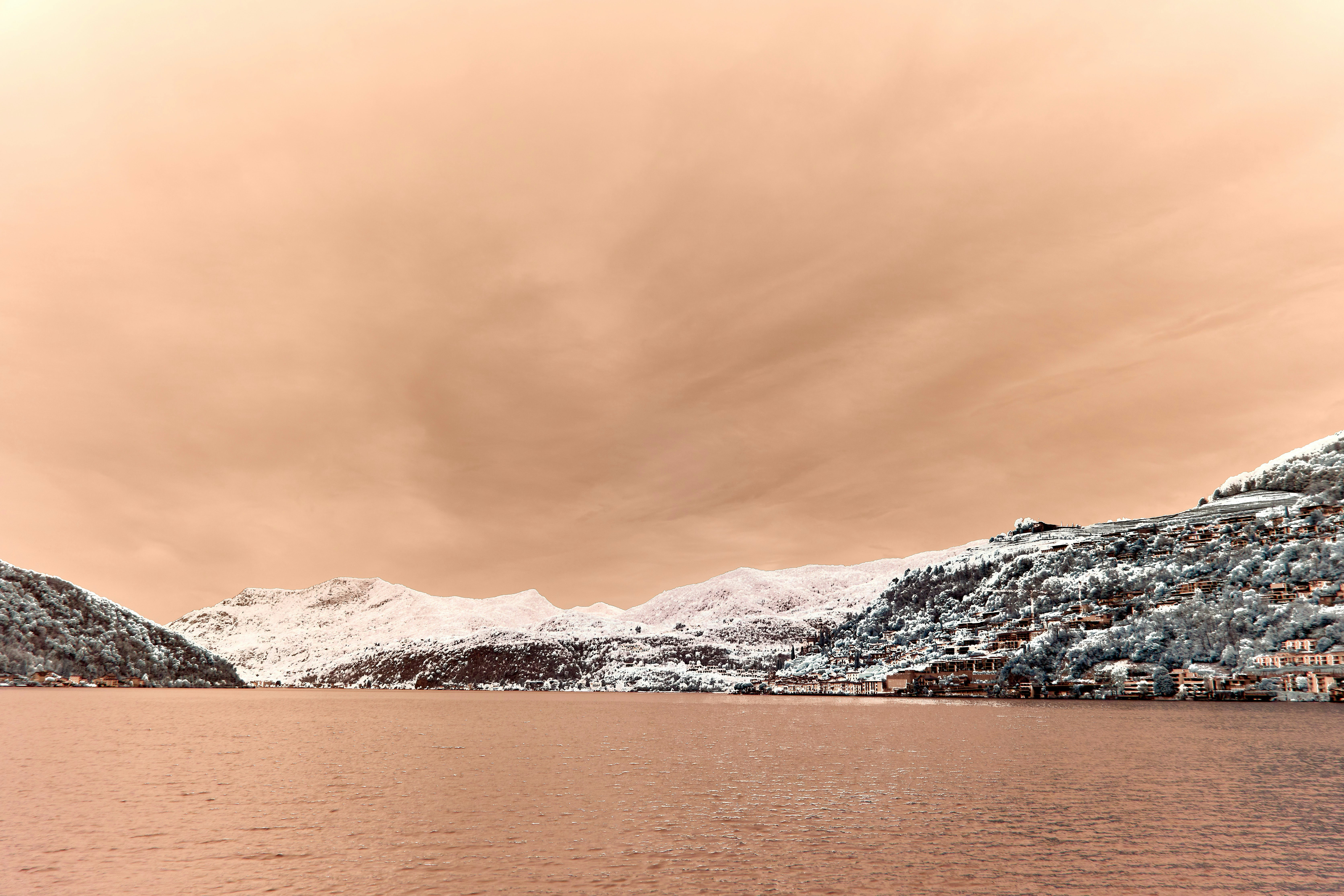 Photo by wolfgang_hasselmann