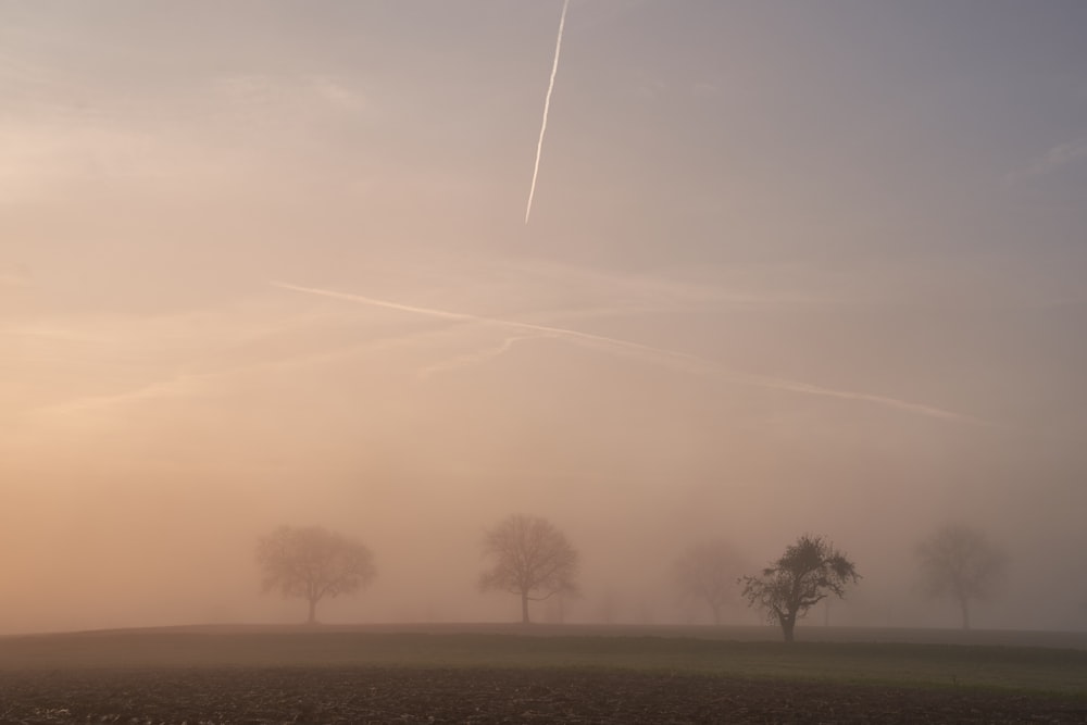 a foggy field with trees in the distance