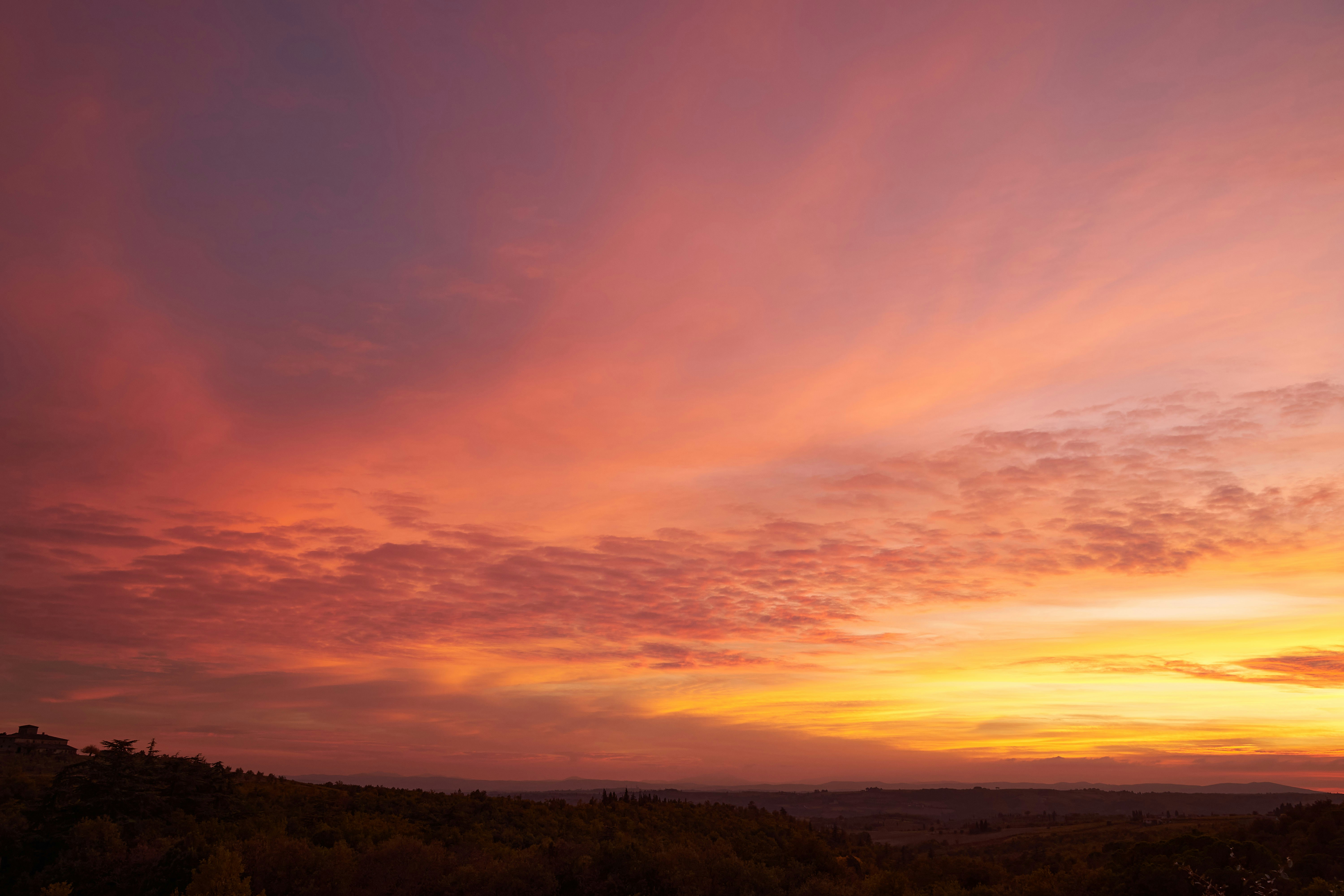 Photo by wolfgang_hasselmann