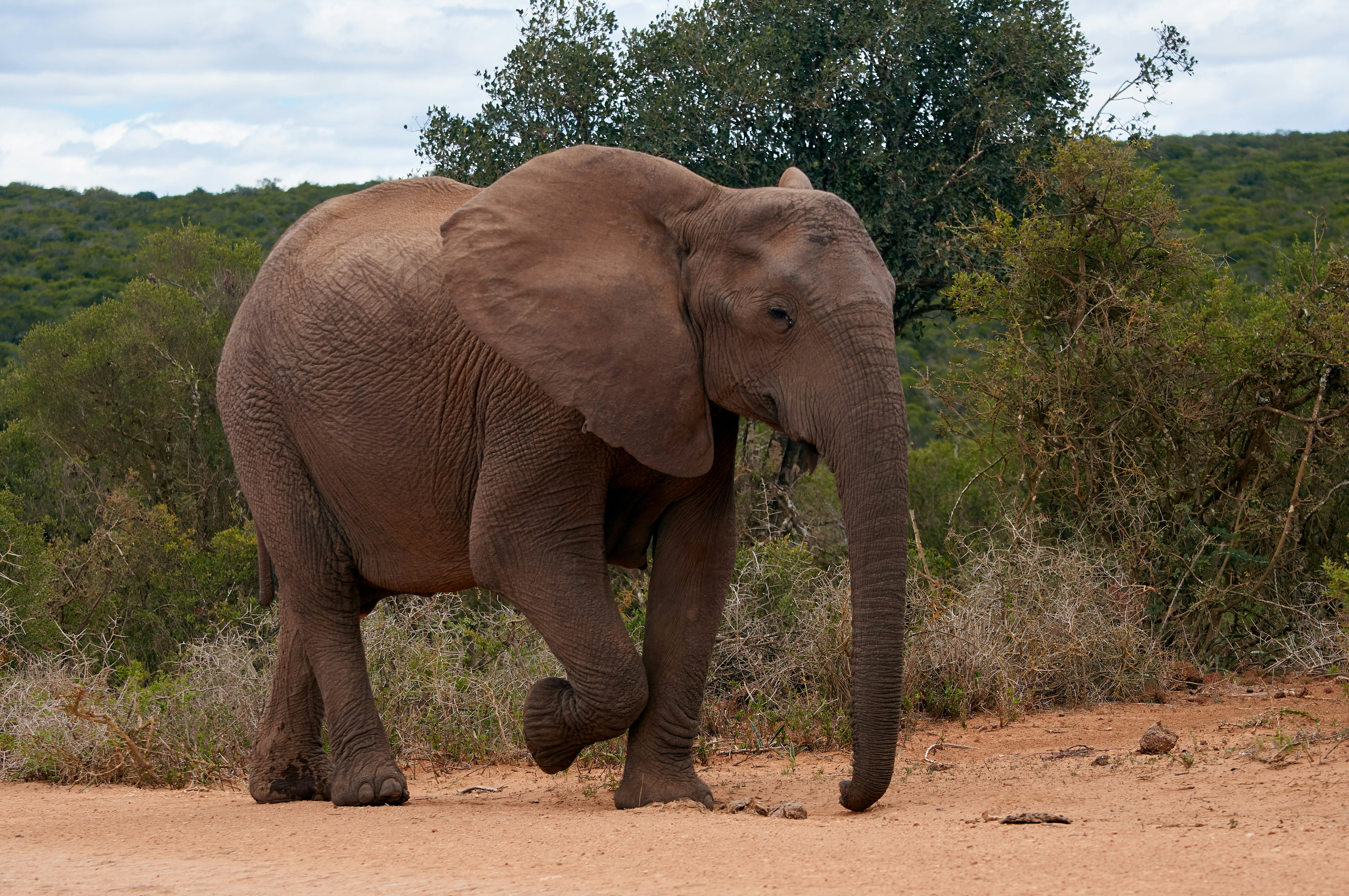 Photo by wolfgang_hasselmann