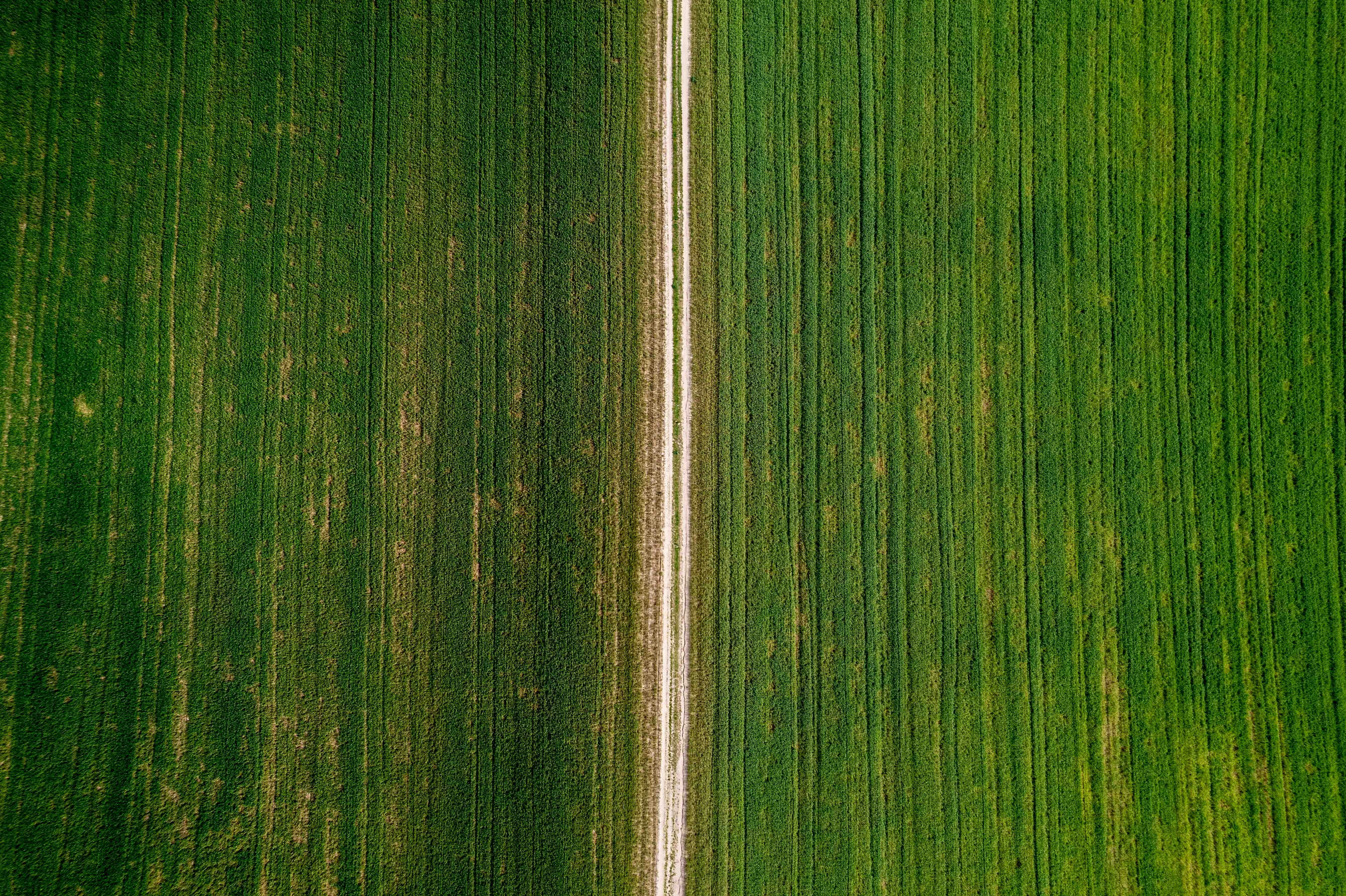 Farm to Fork Travel Global Market Growth Trends