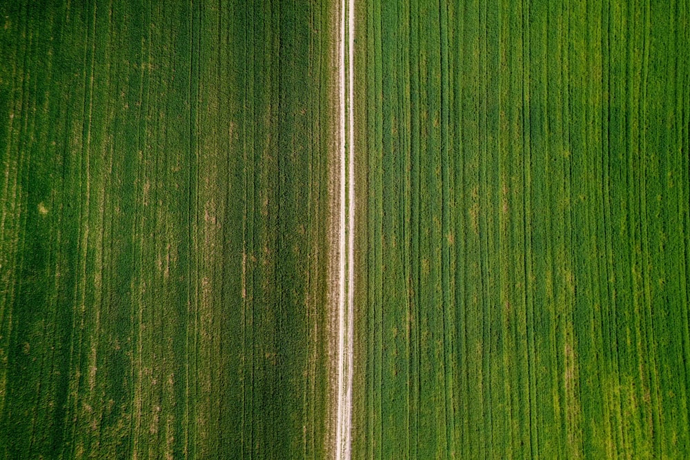 an aerial view of a field of green grass