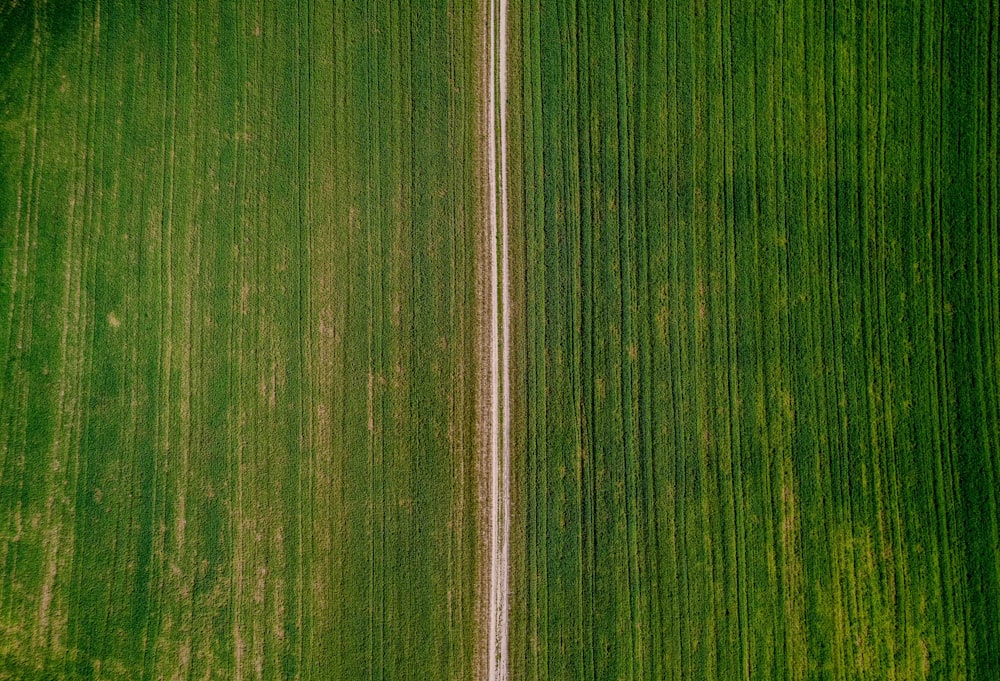 an aerial view of a green field with a white line in the middle