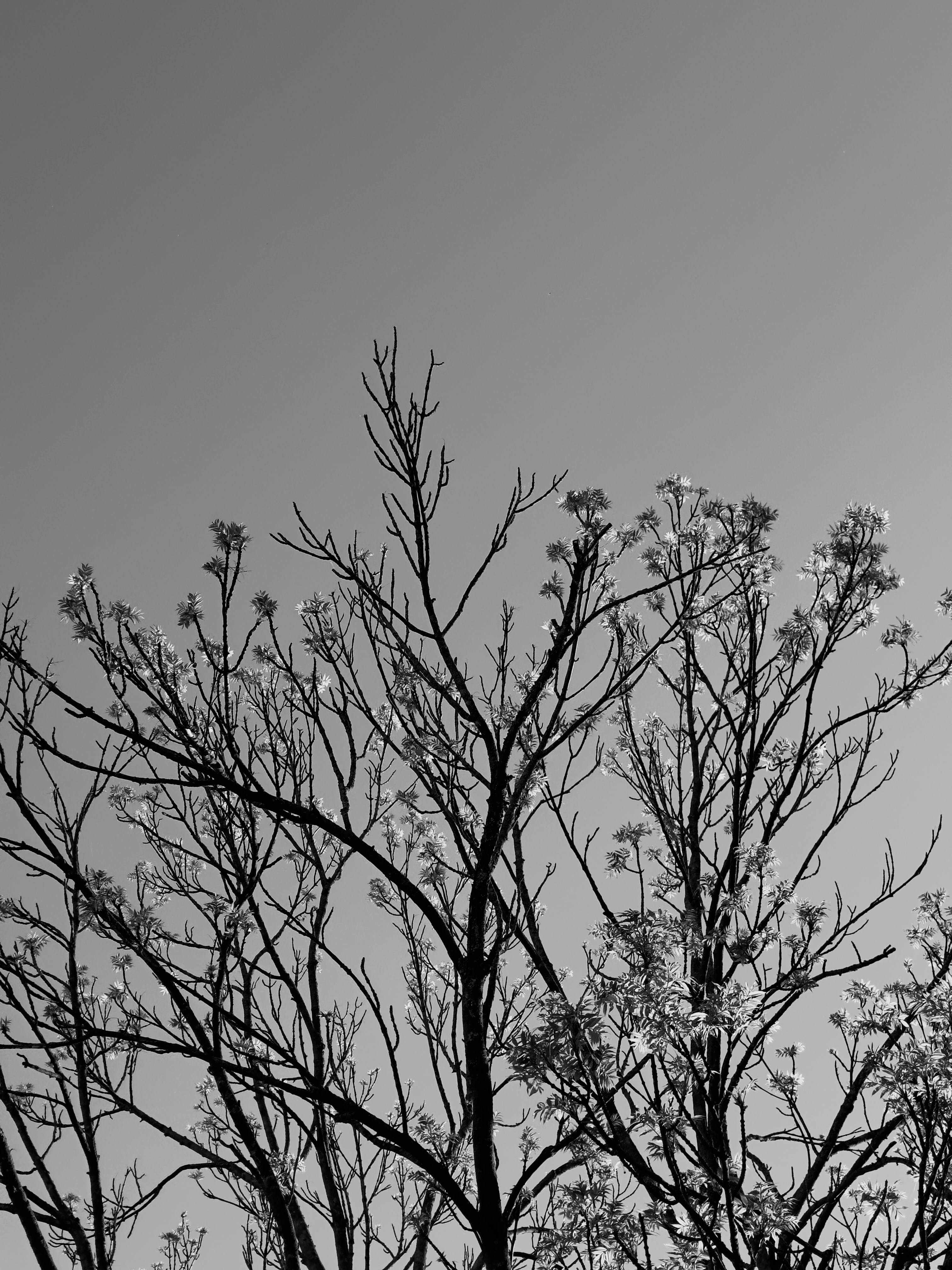 Photo by alexander_skrypnikov