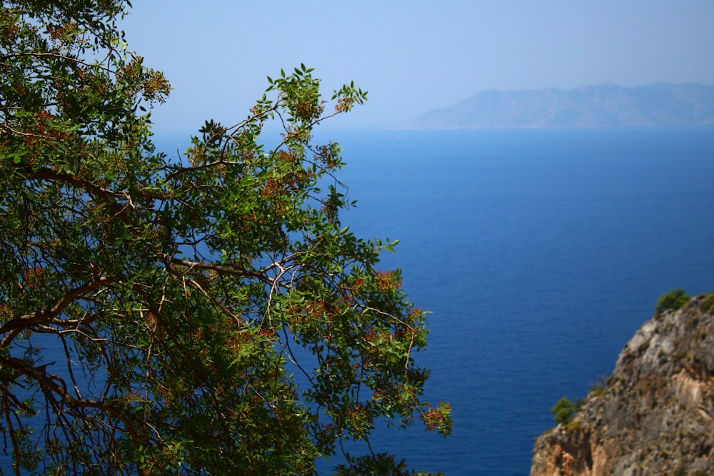 a view of the ocean from a cliff