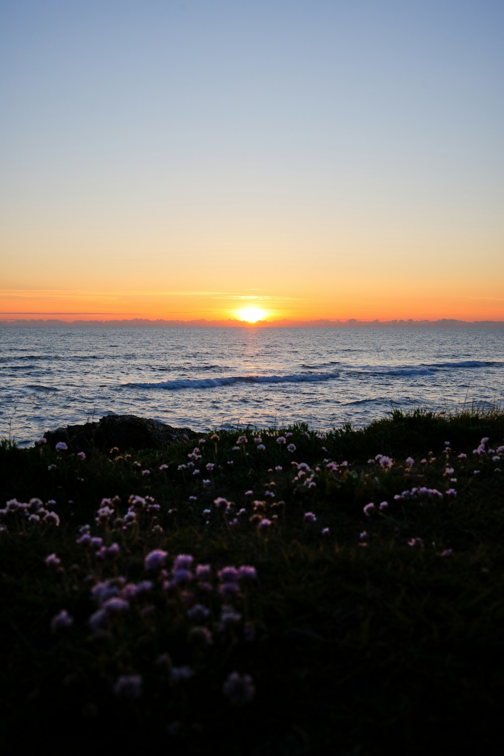 the sun is setting over the ocean with wildflowers in the foreground