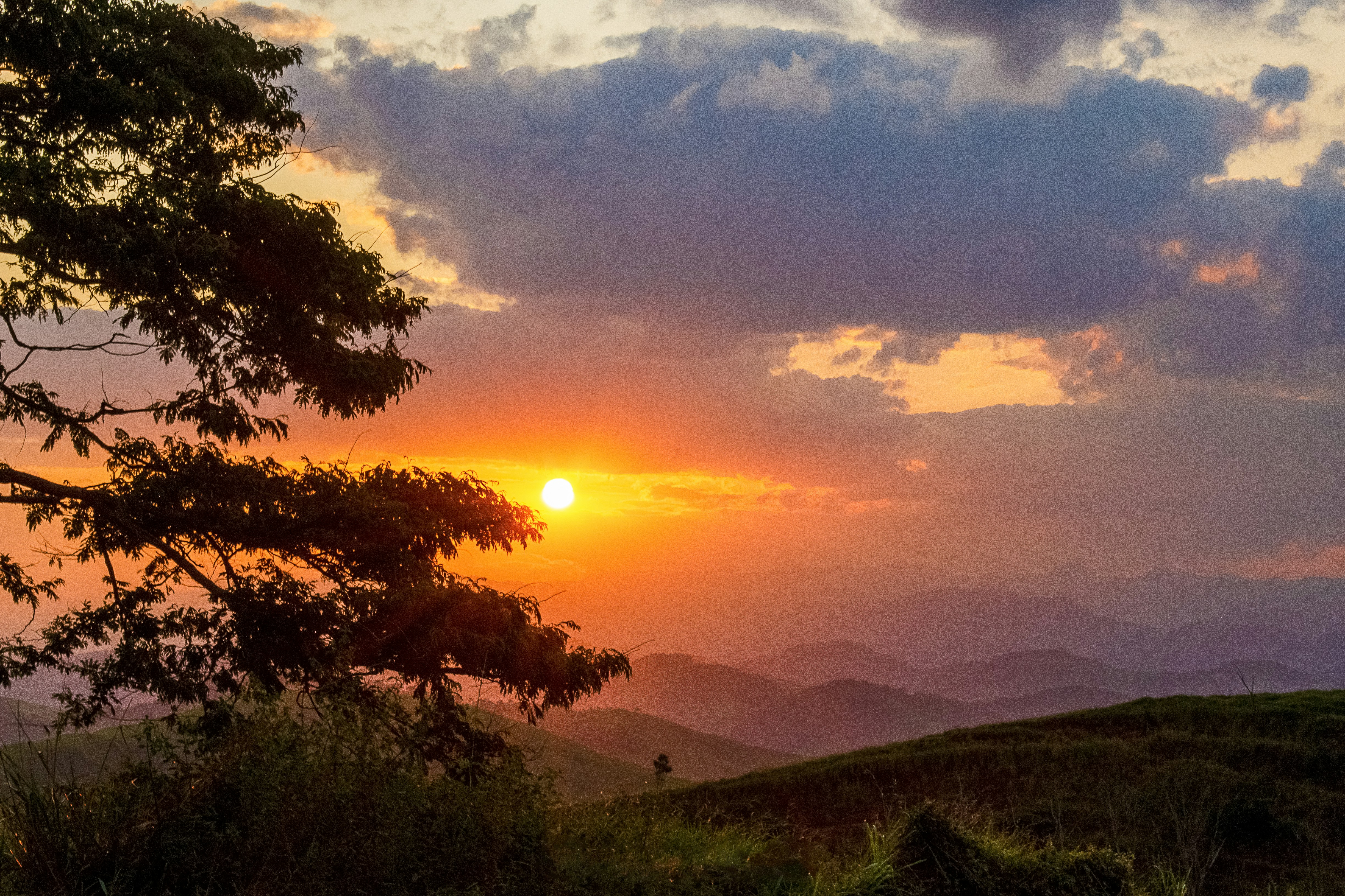 Photo by henrique_djenole