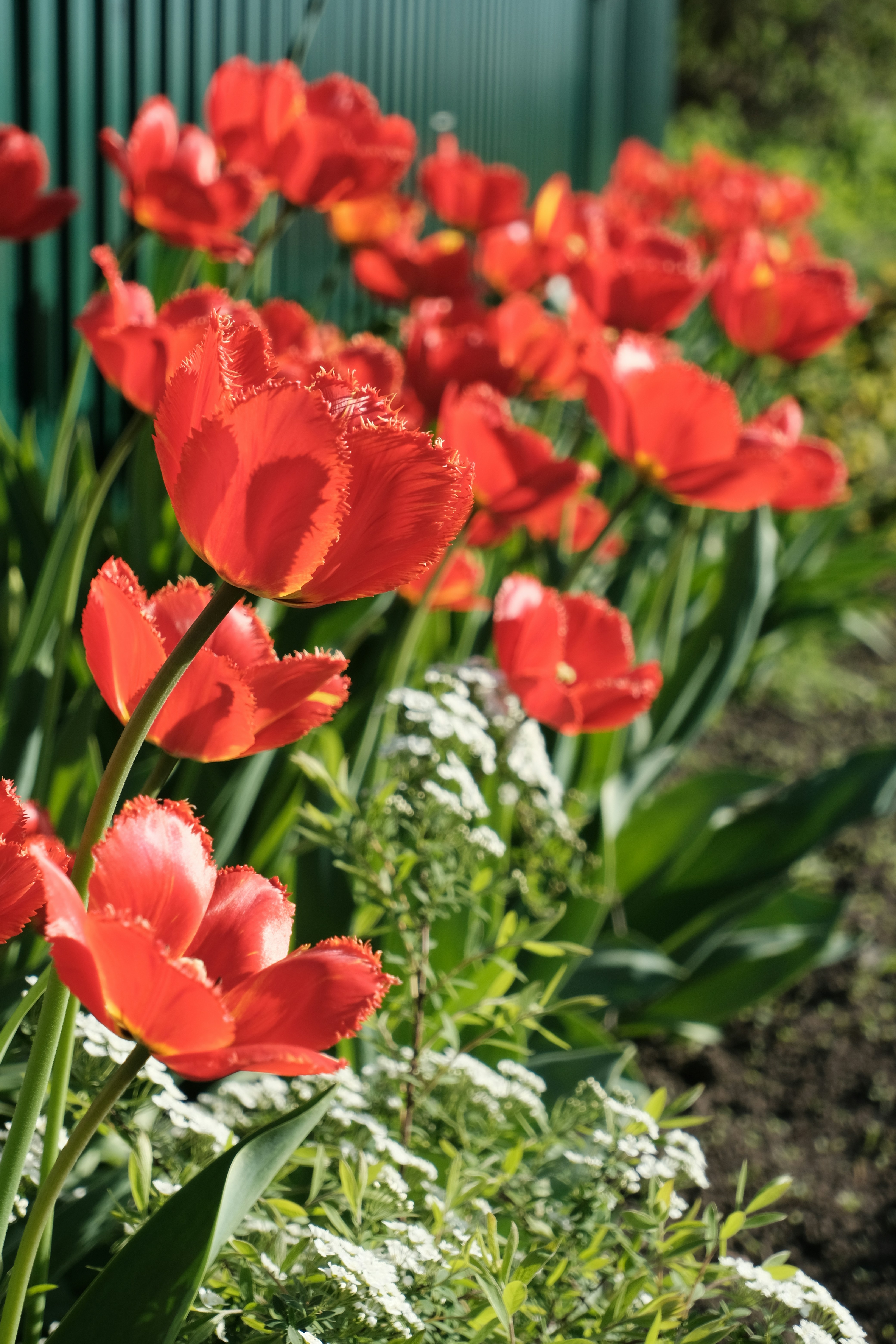 Photo by tatianarudneva