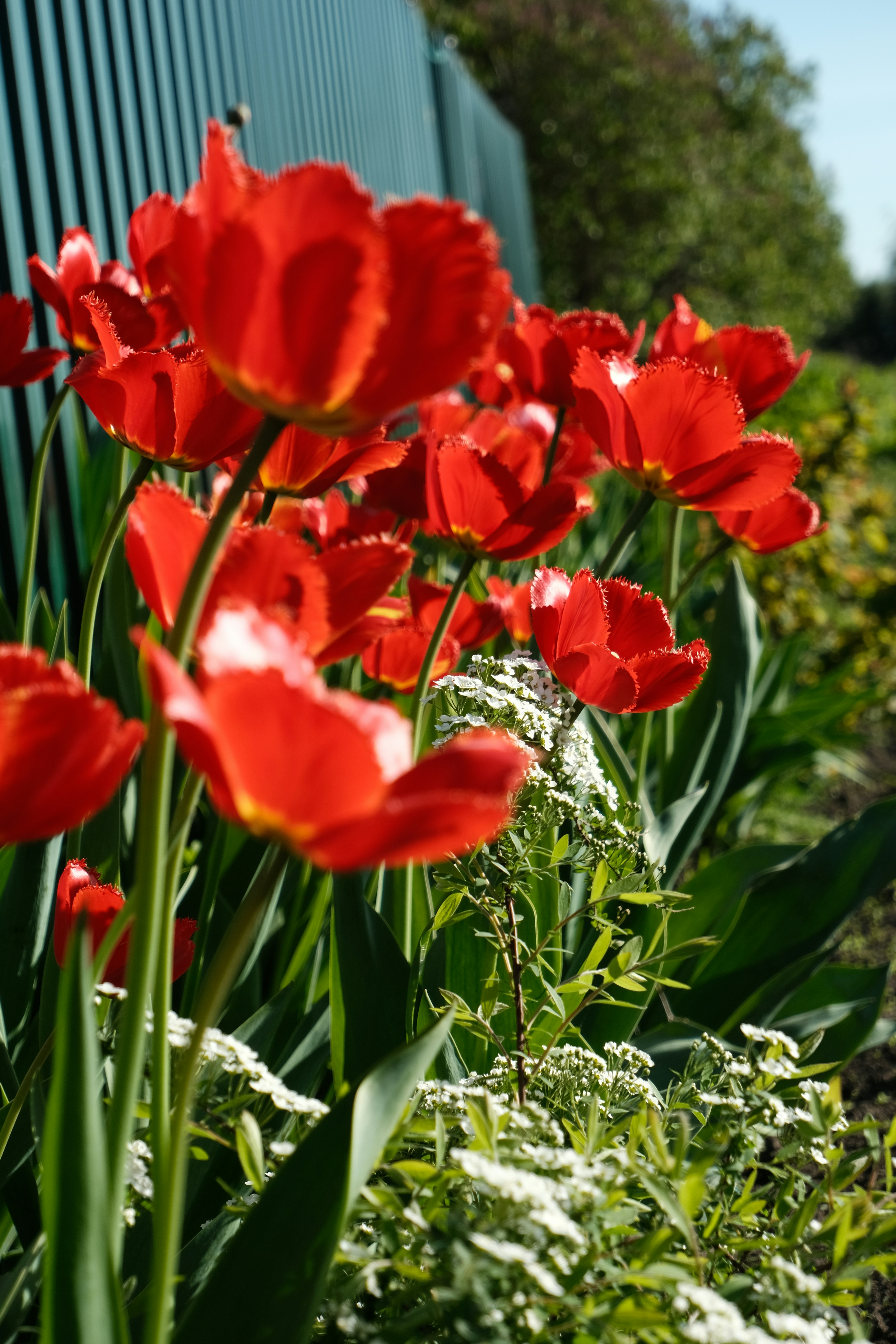 Photo by tatianarudneva