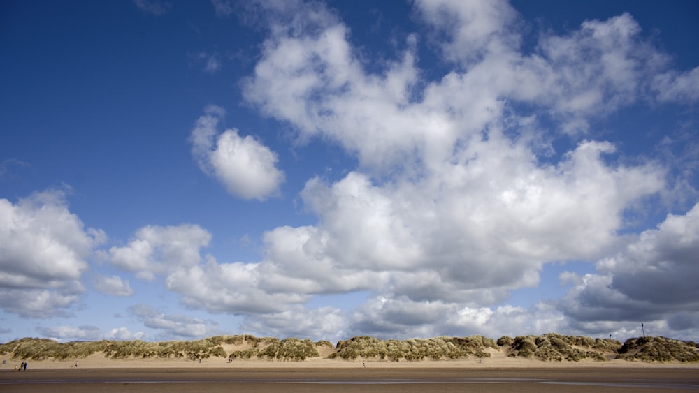 a person is flying a kite on the beach