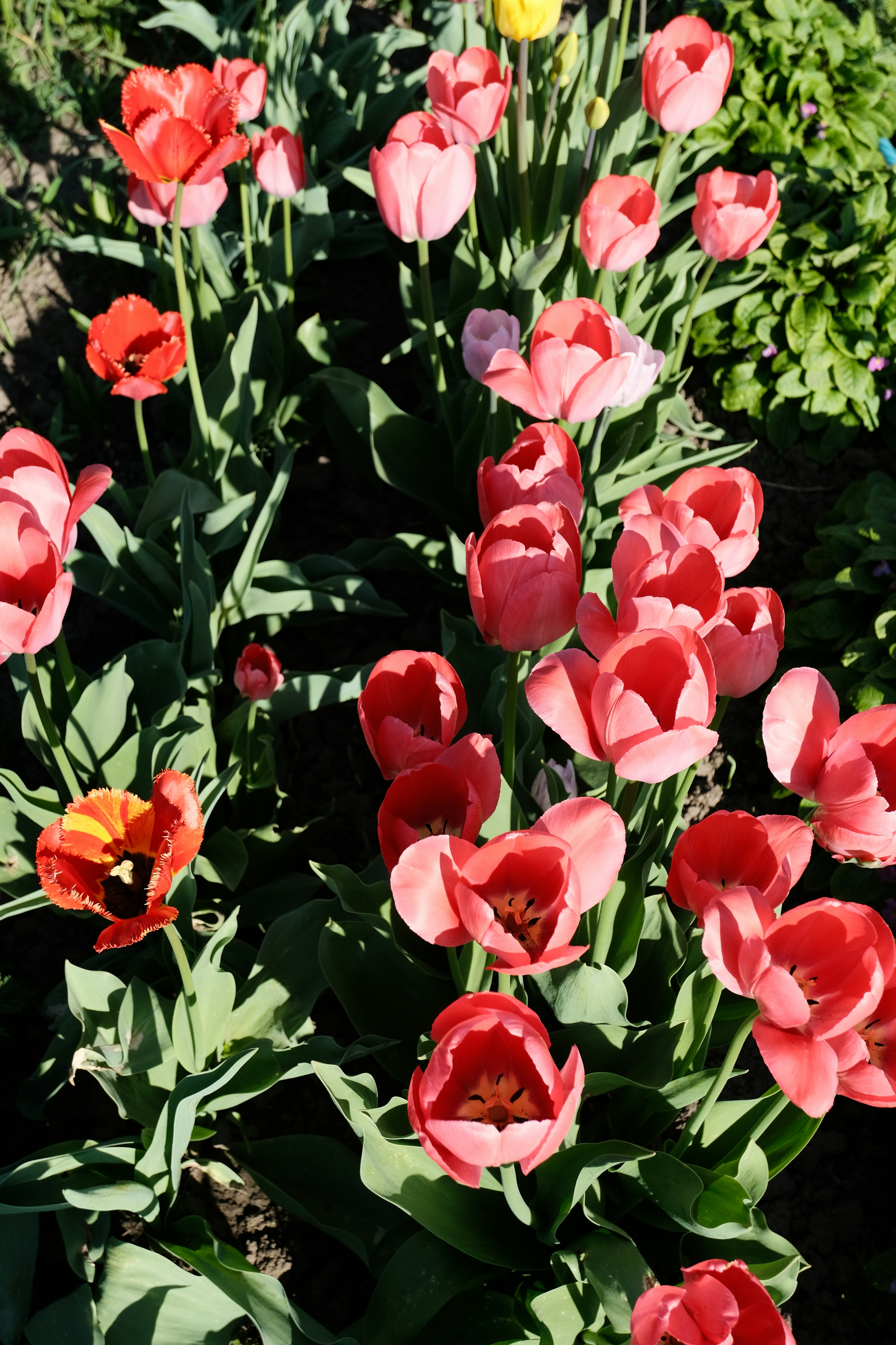 Photo by tatianarudneva