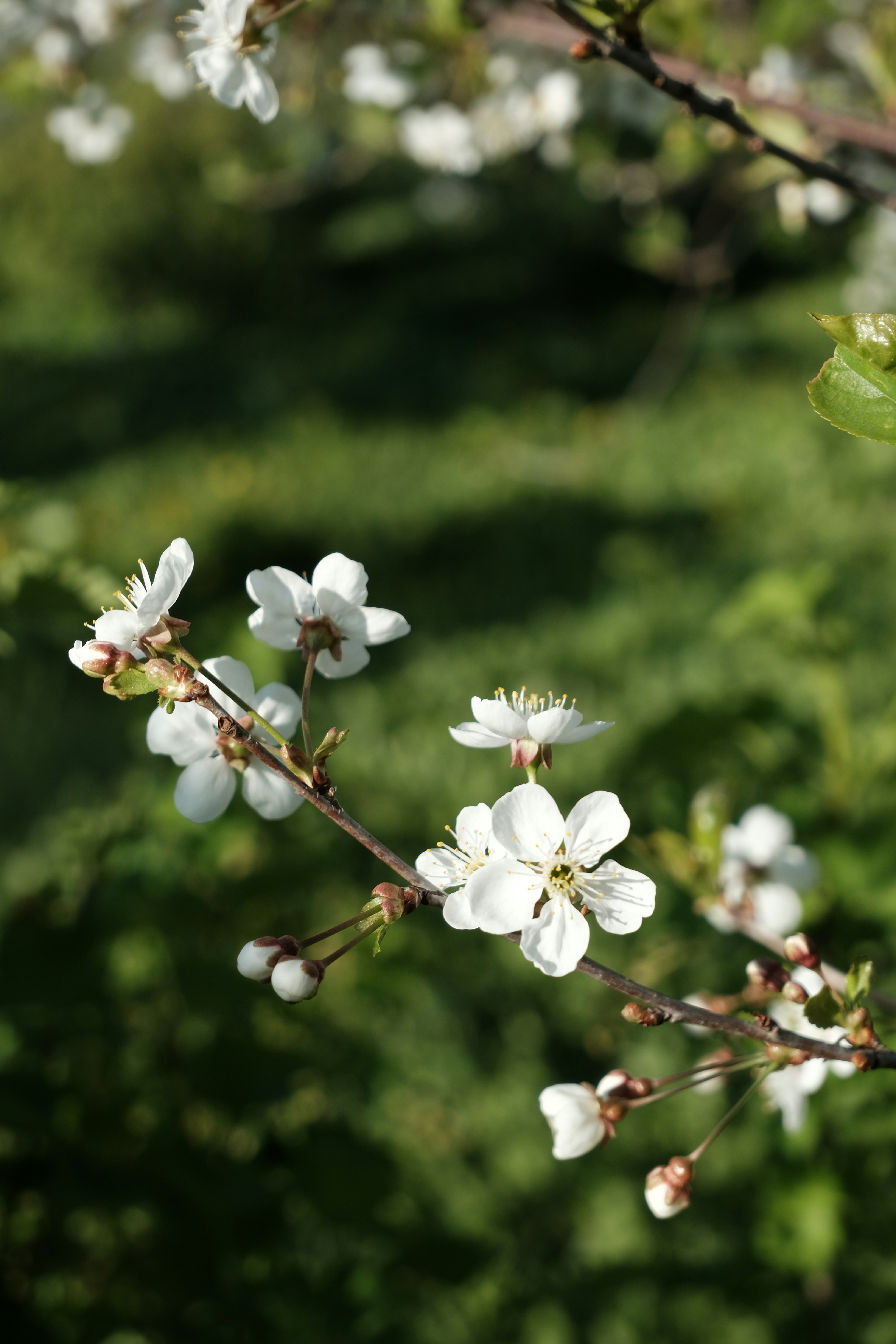 Photo by tatianarudneva