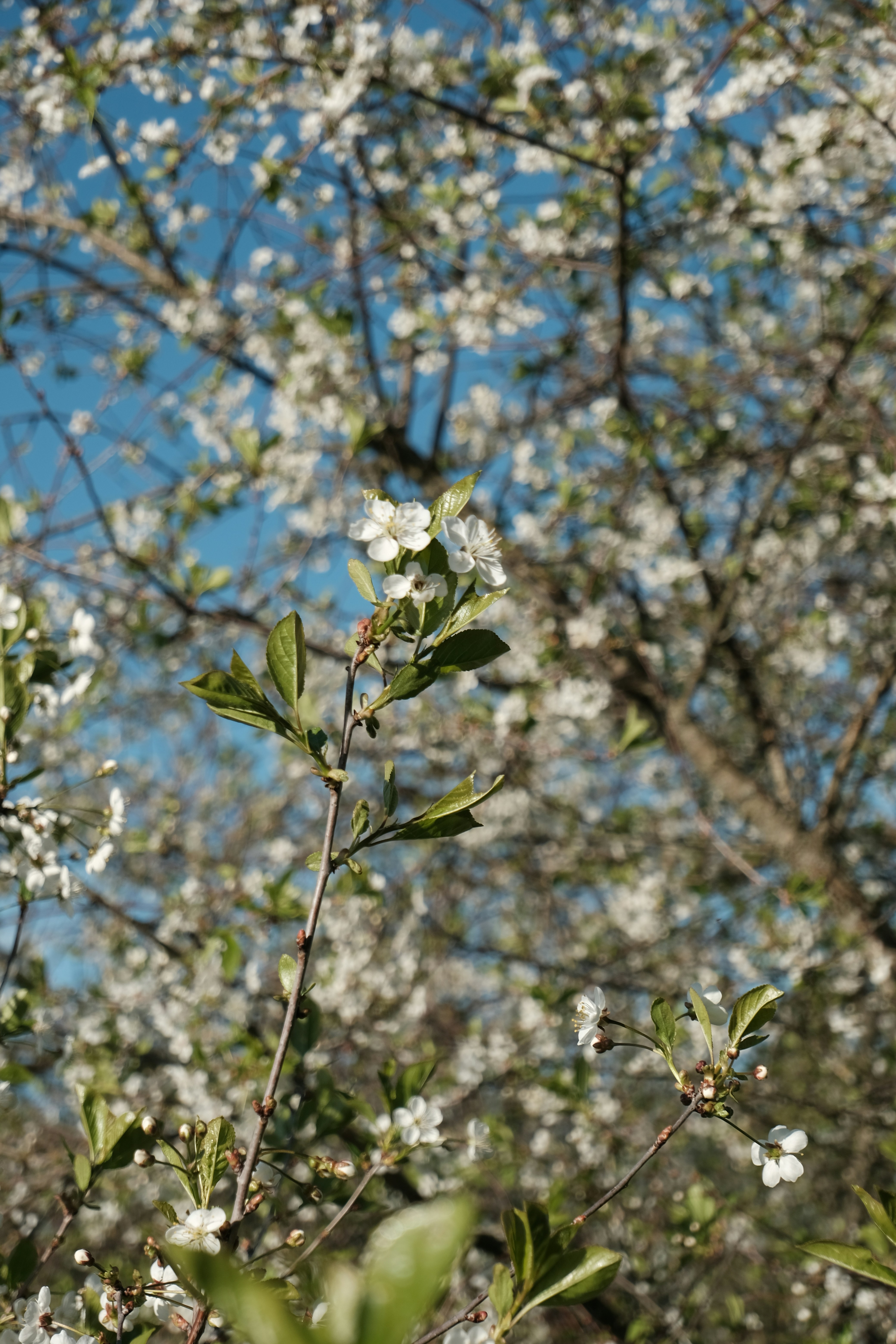 Photo by tatianarudneva