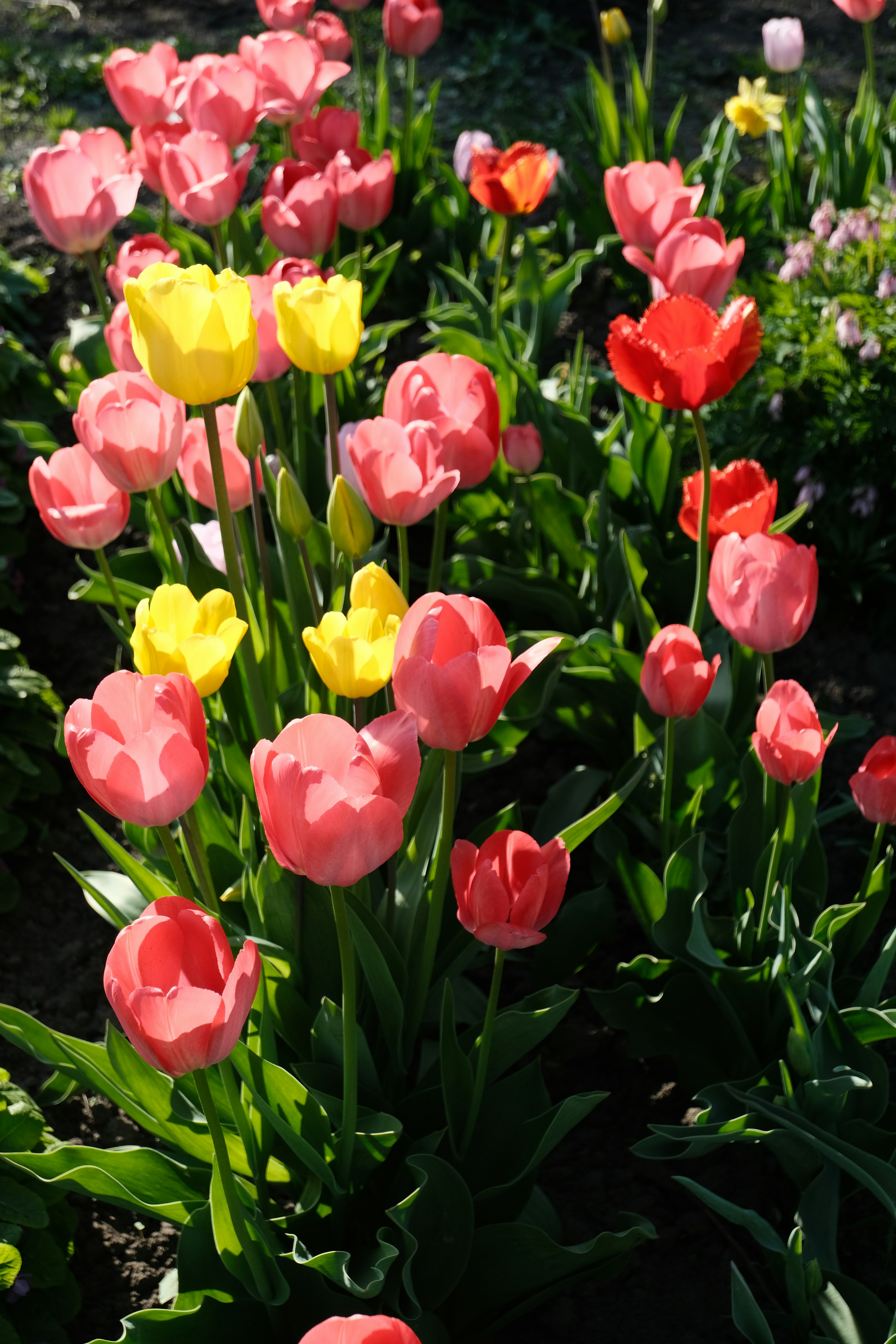 Photo by tatianarudneva