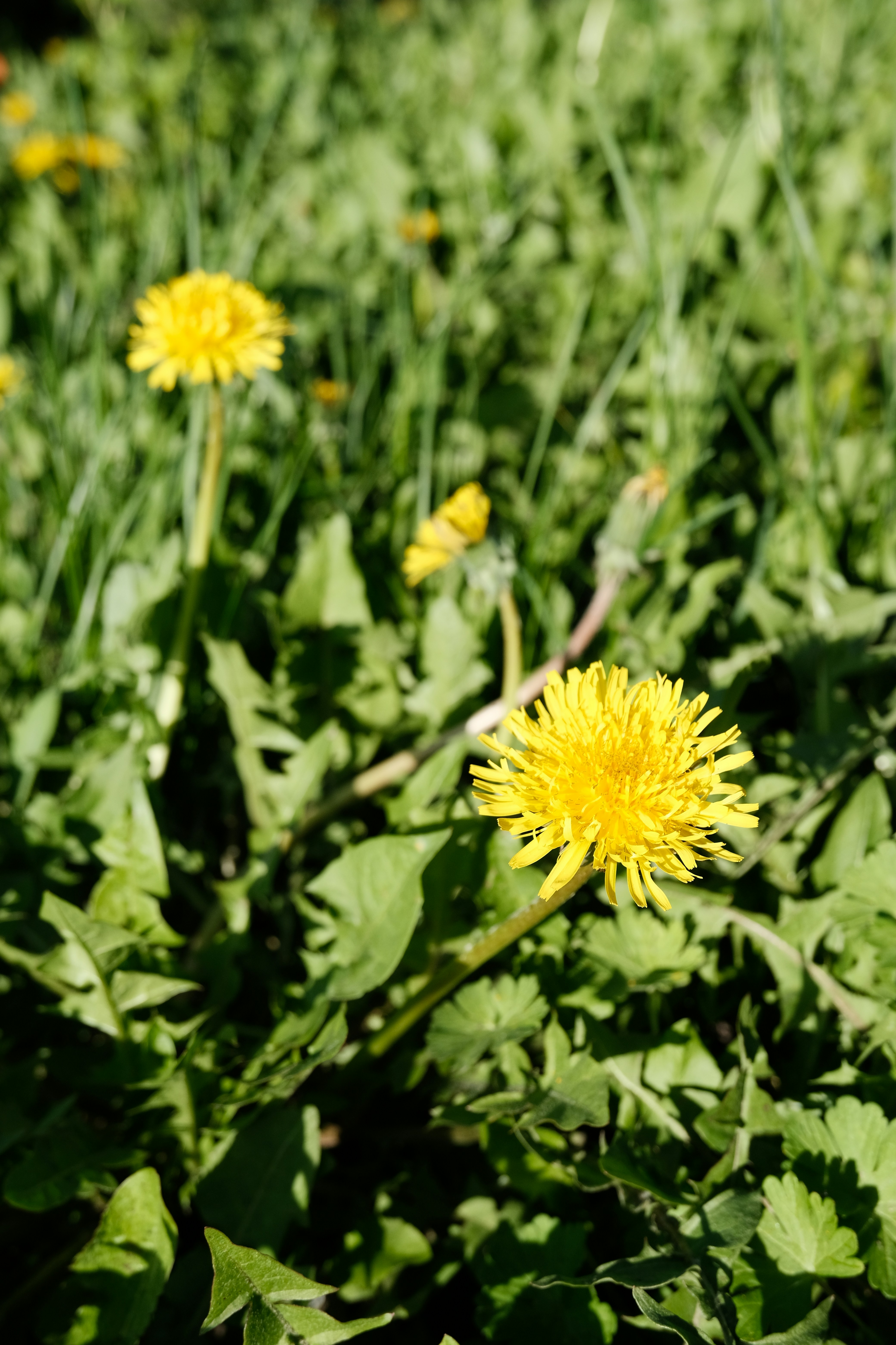 Photo by tatianarudneva