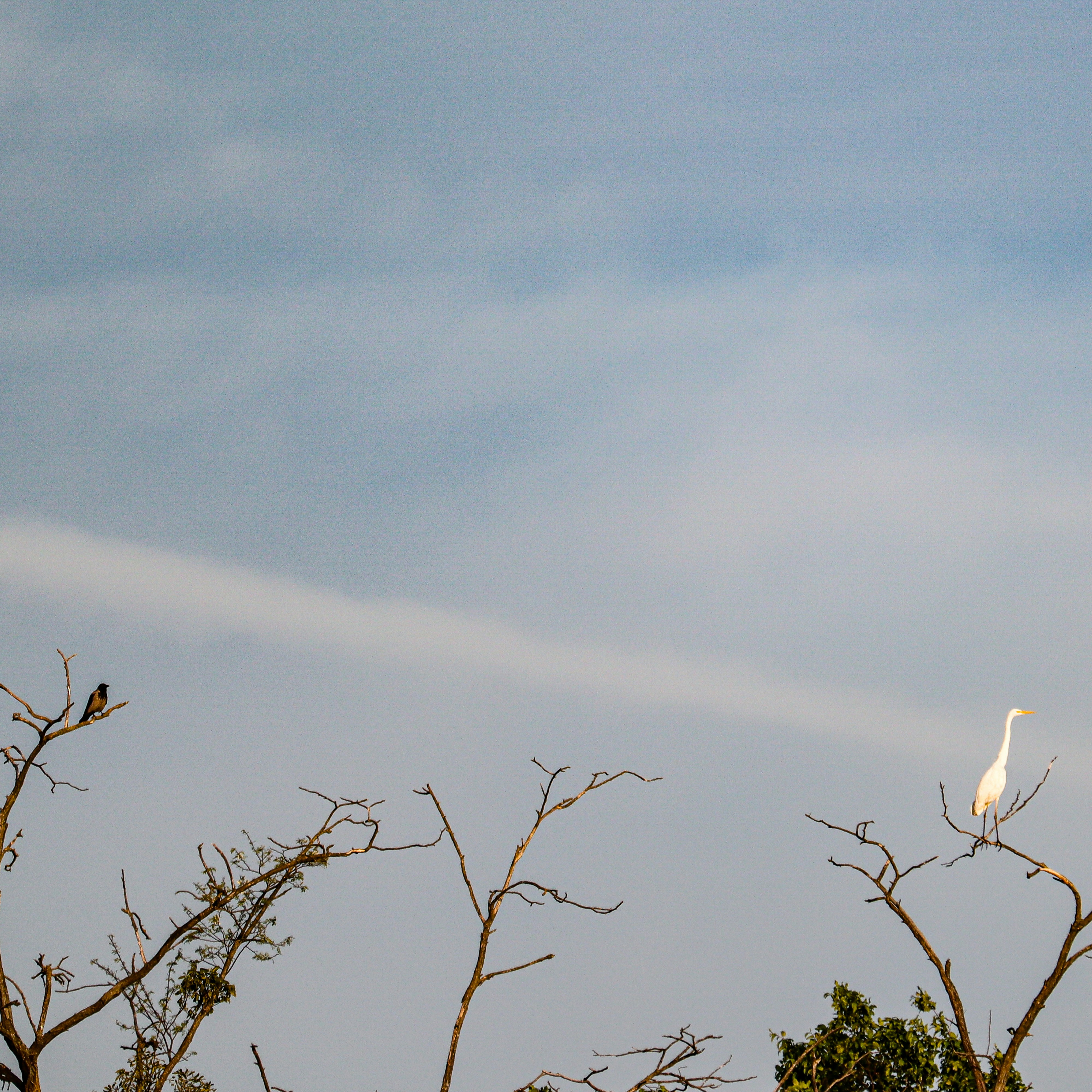 Photo by 3kolone
