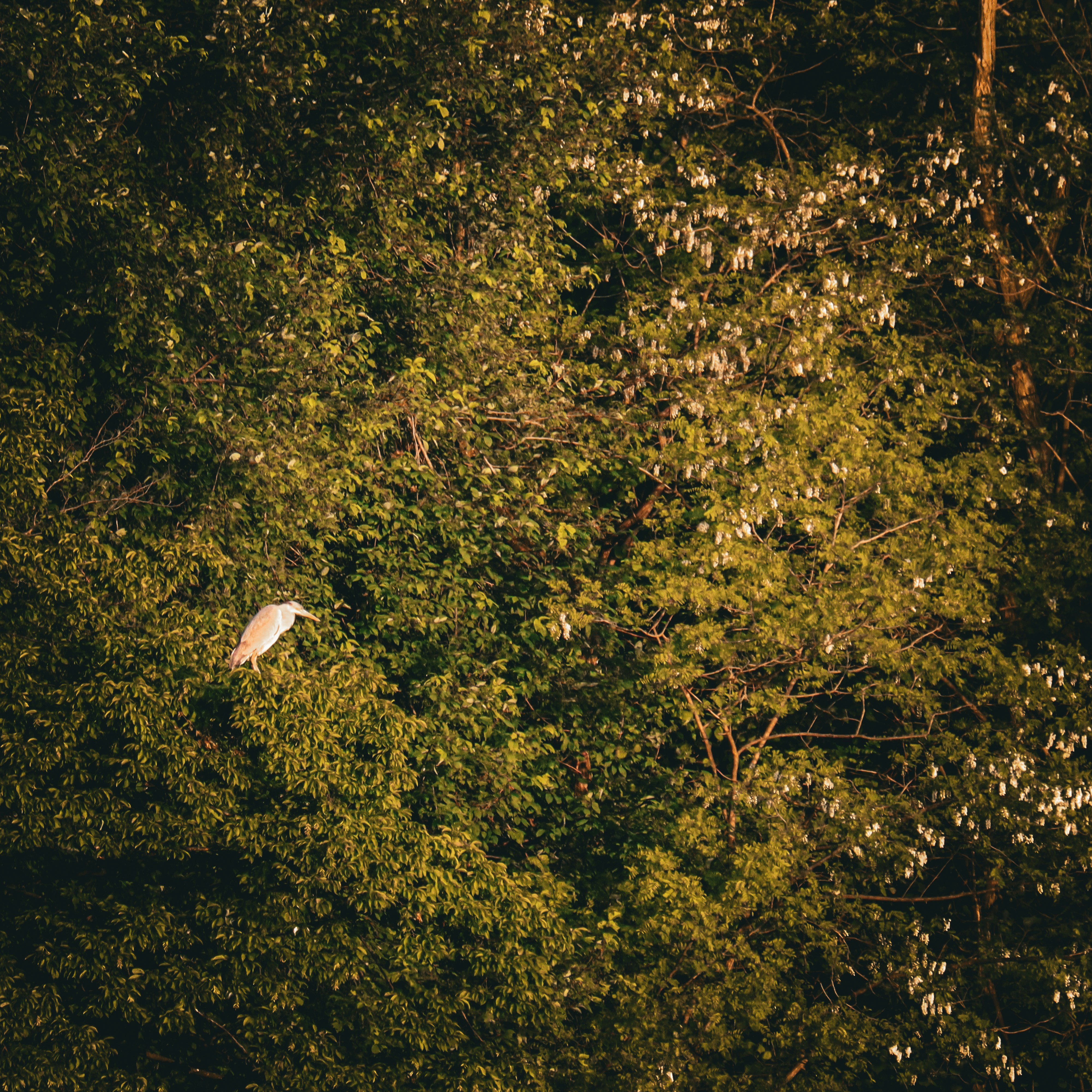 Photo by 3kolone