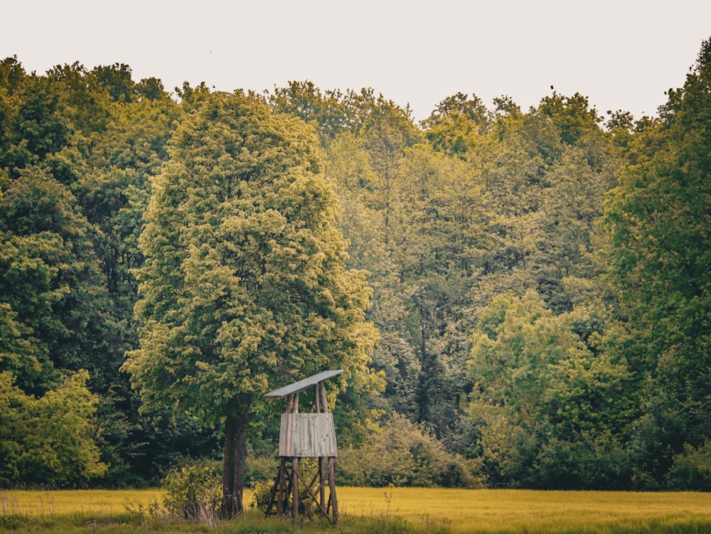 a tree house in the middle of a field