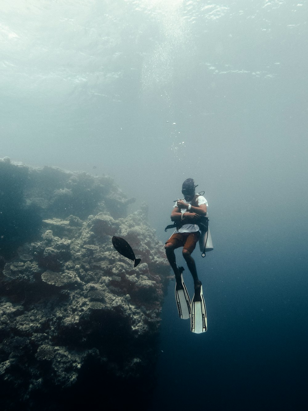 a person is diving in the water with a fish