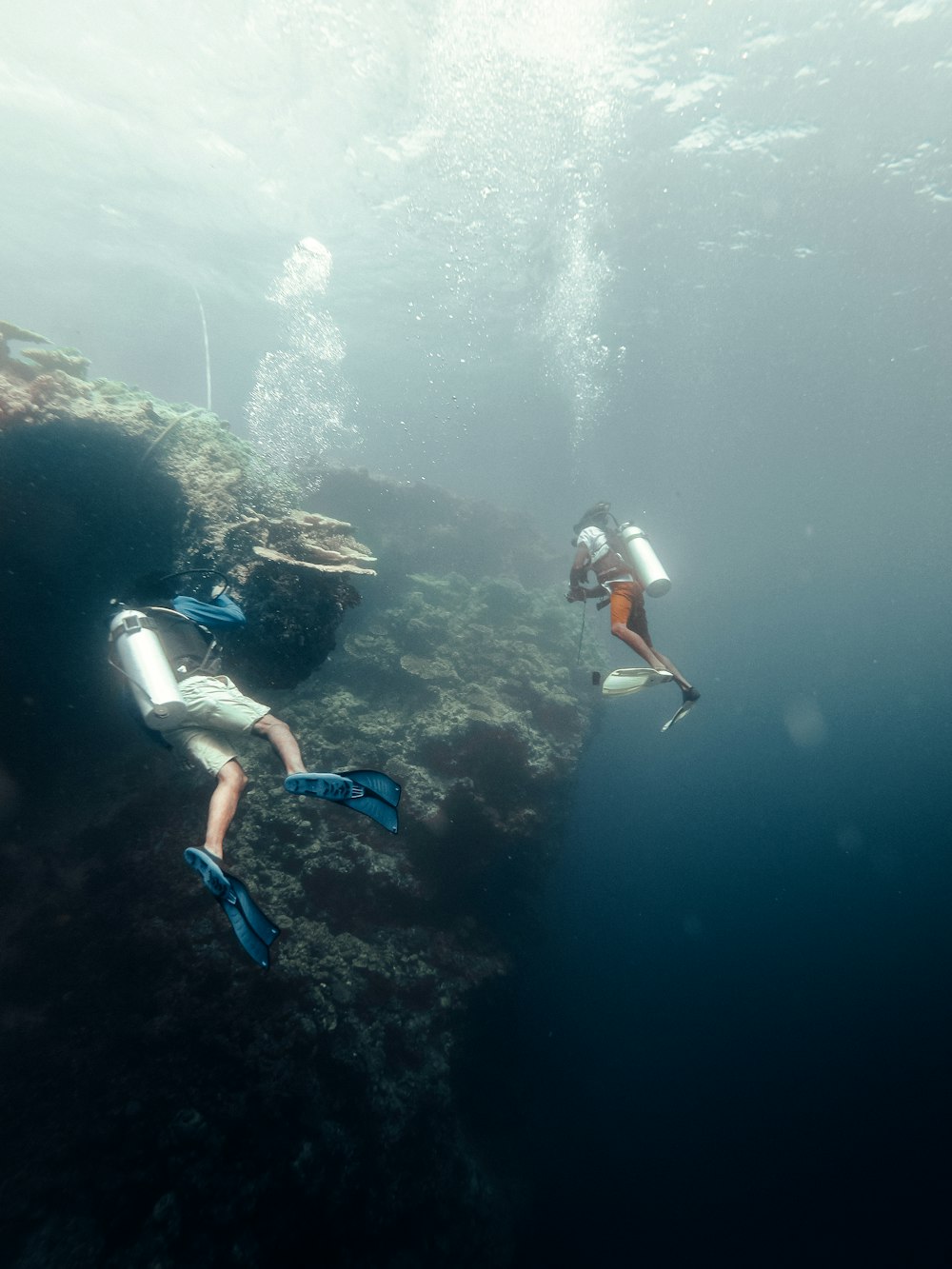 two people diving in the ocean with scuba gear