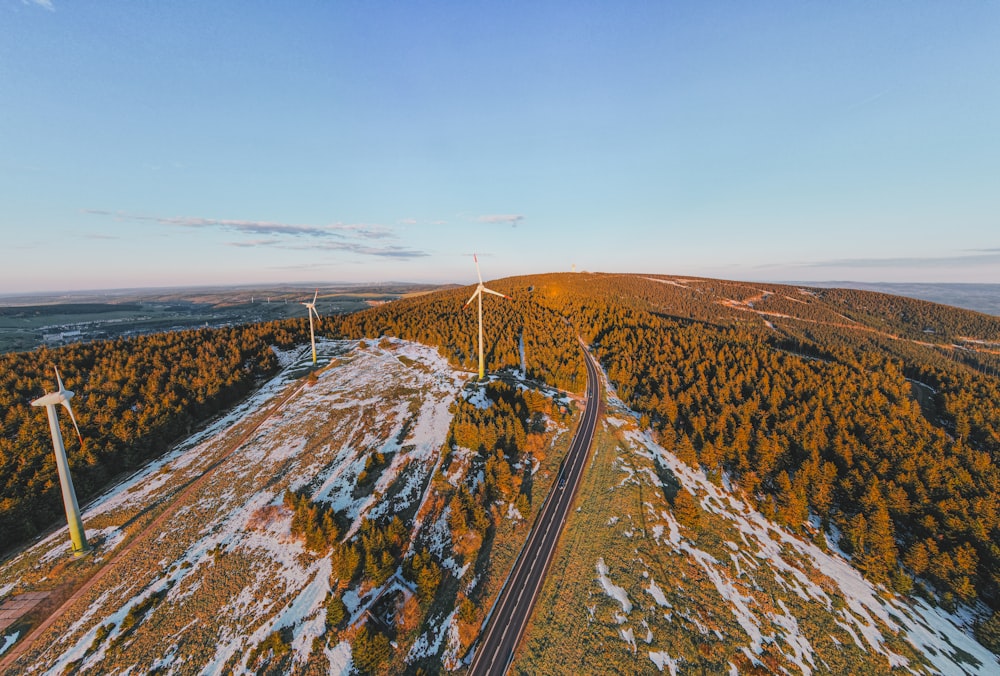 a wind farm in the middle of a snowy field