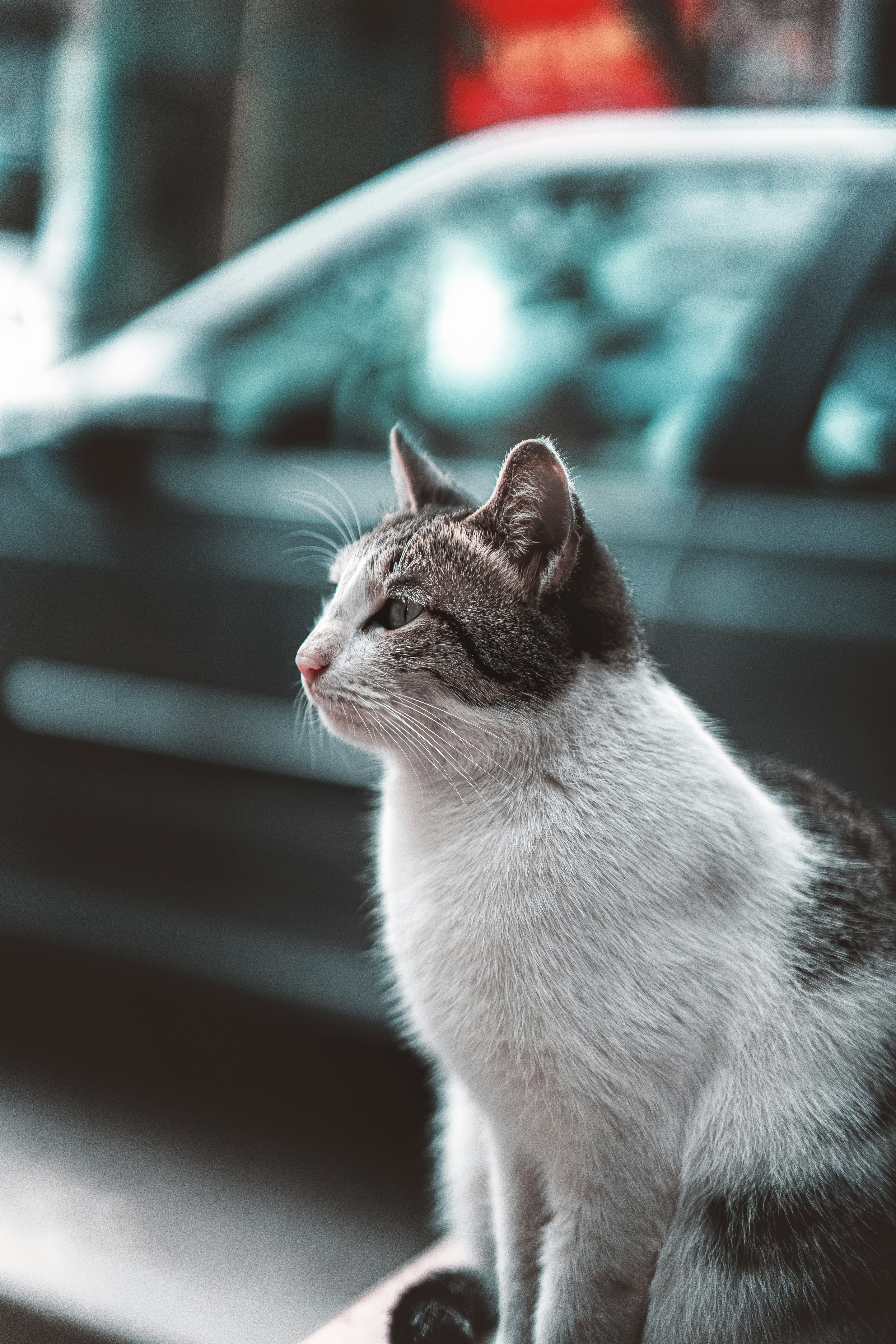 Photo by amya_artworks